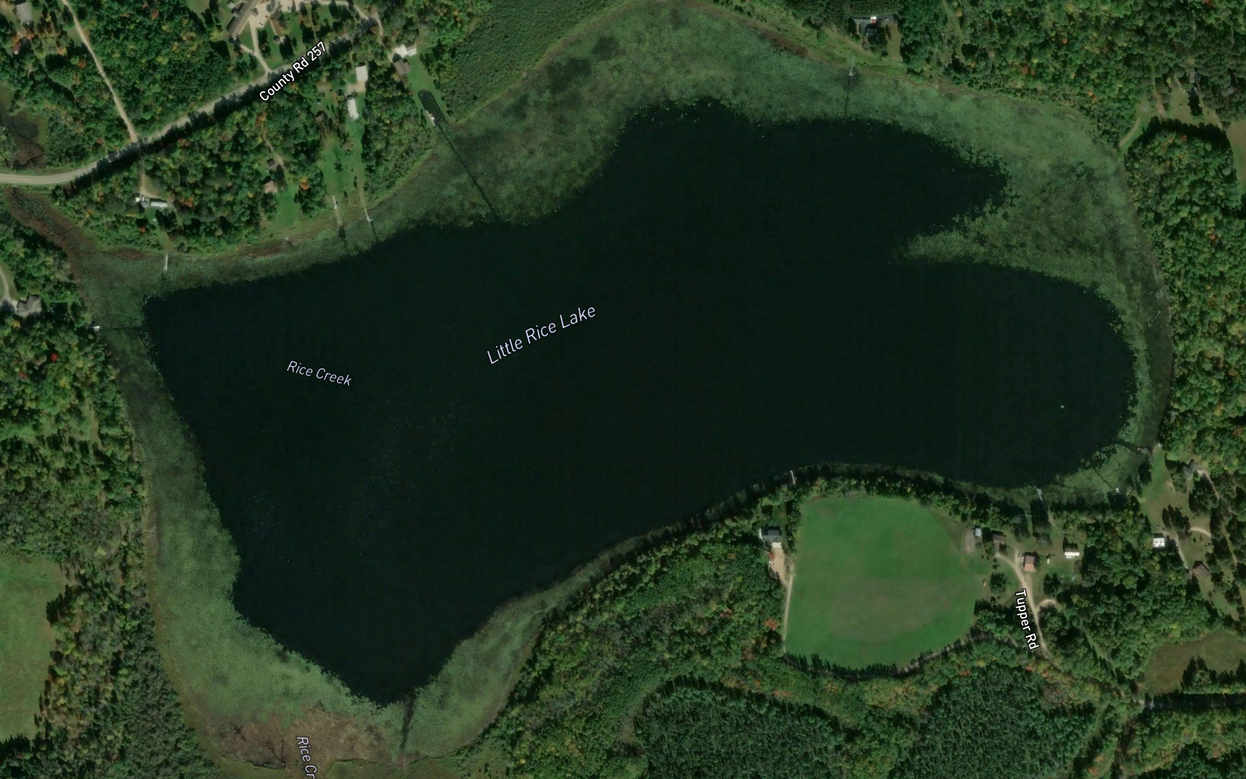 Little Rice Lake