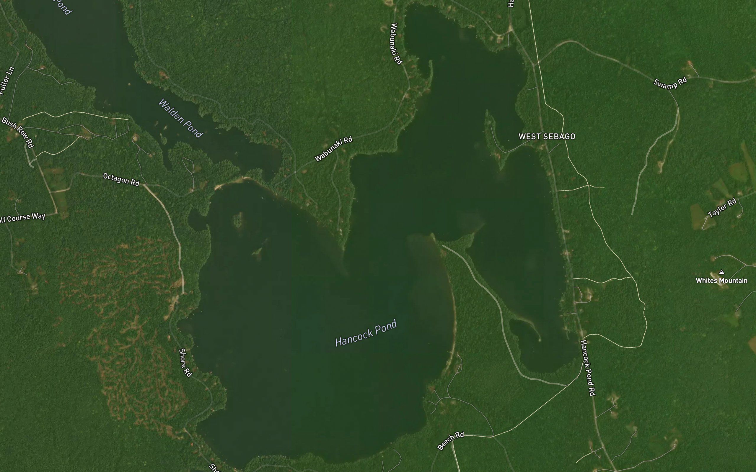 Hancock Pond