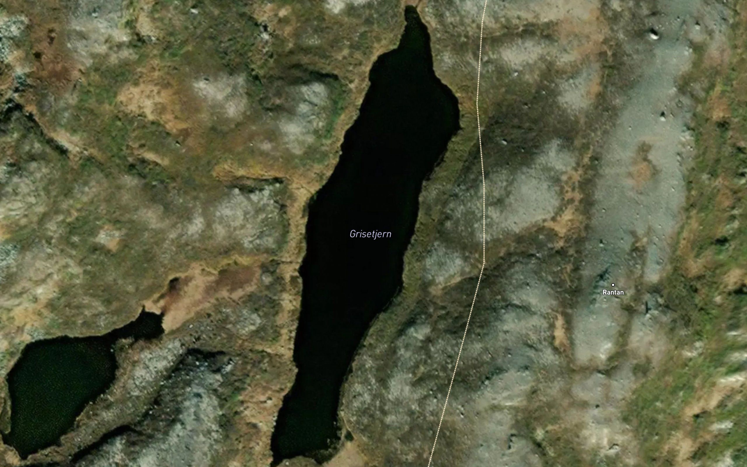Grisetjern