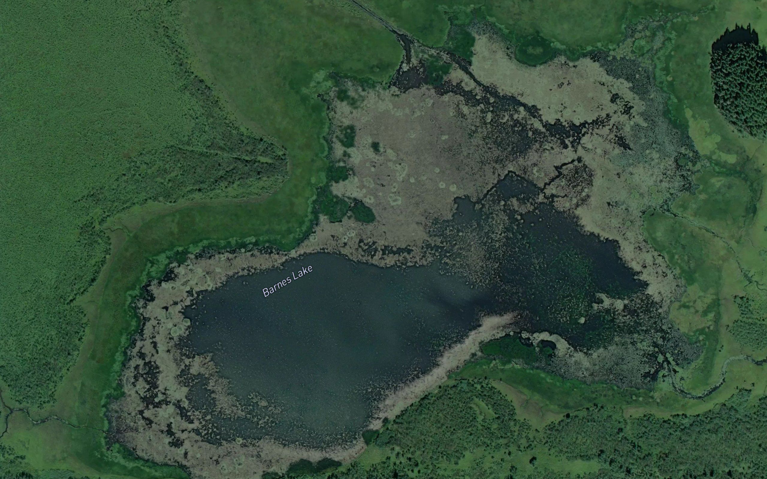 Barnes Lake