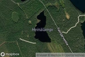 Heinalampi