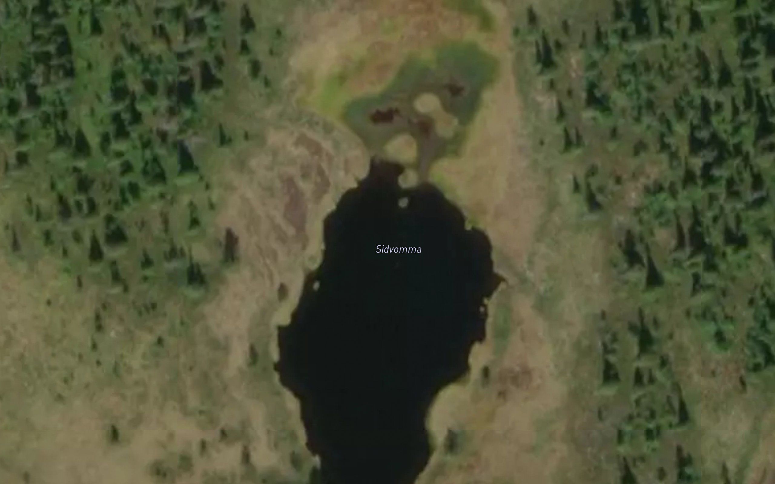 Sidvomma