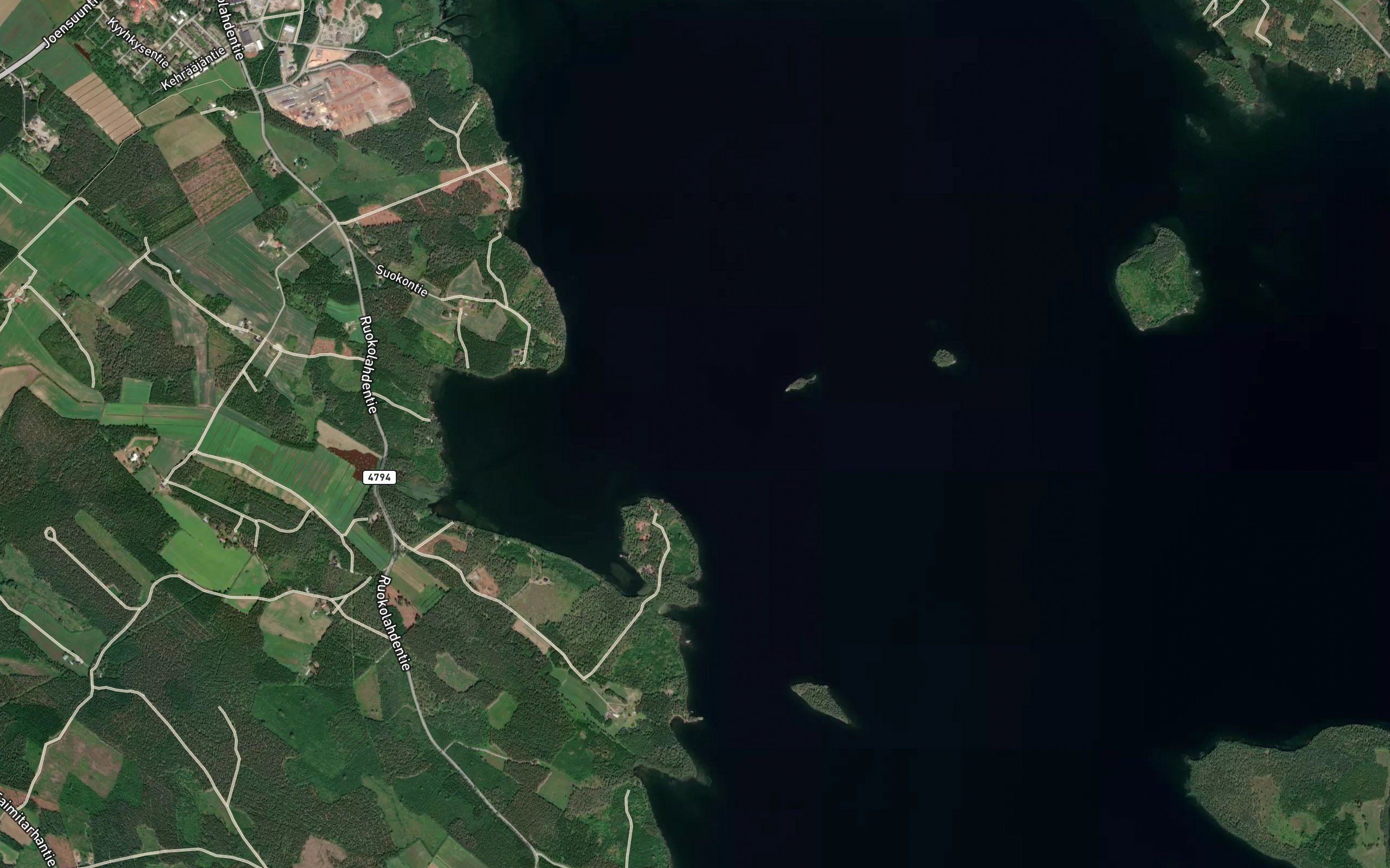 Kipinjuuma