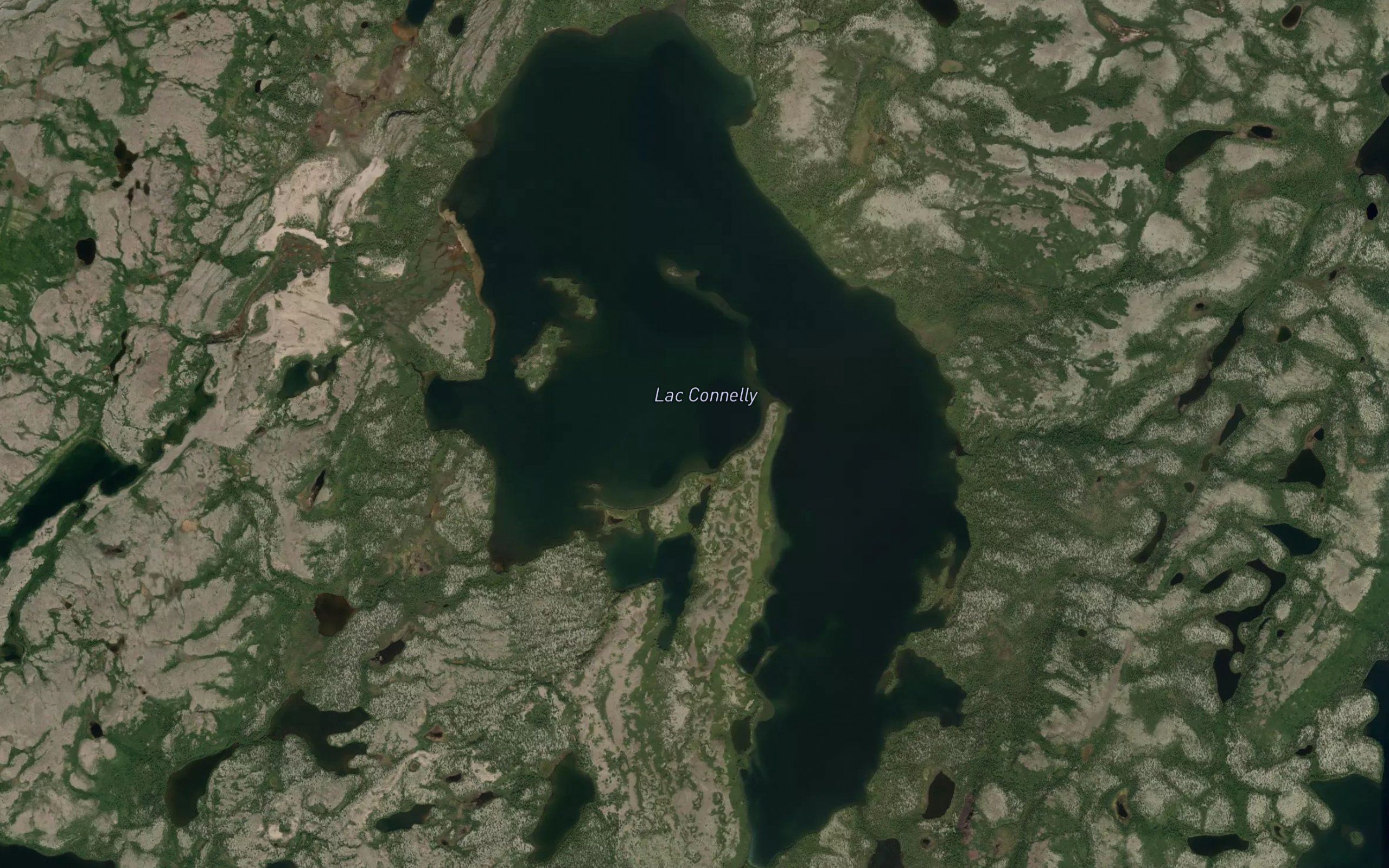 Lac Connelly