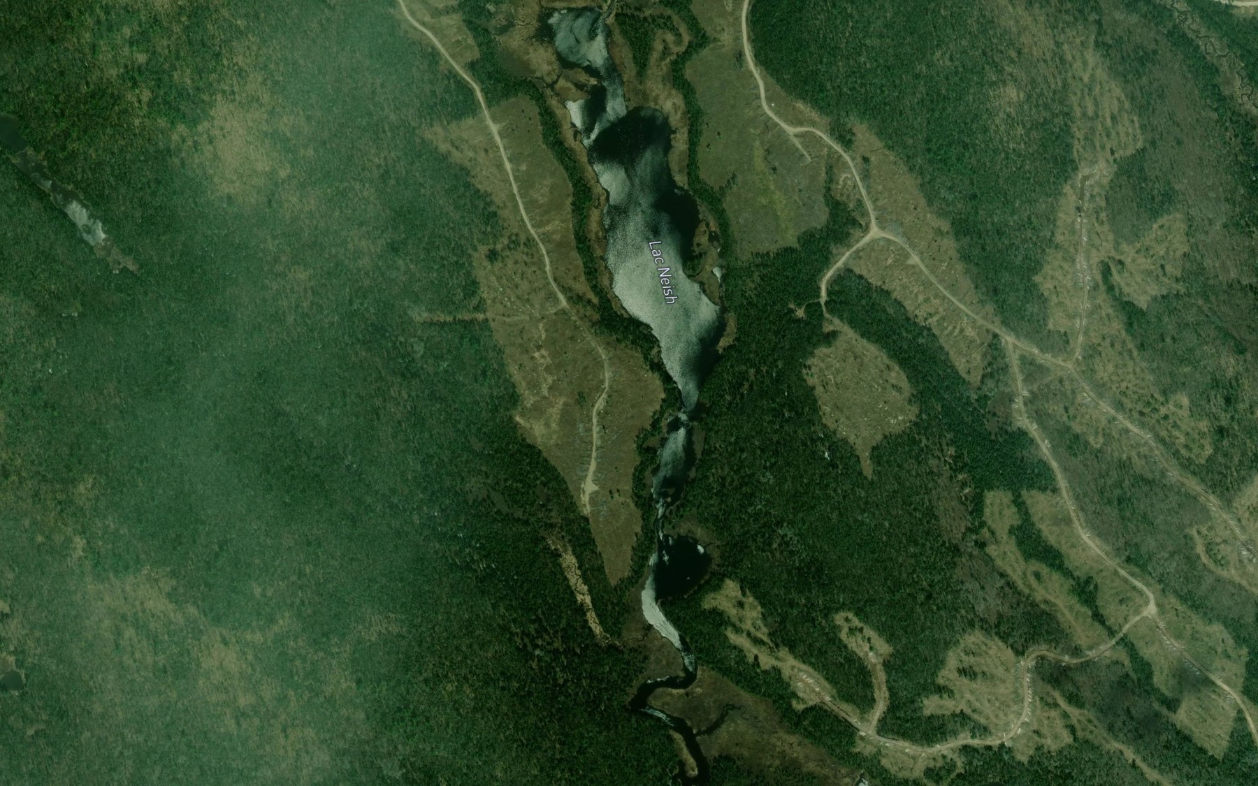 Satellite map of the Lac Neish