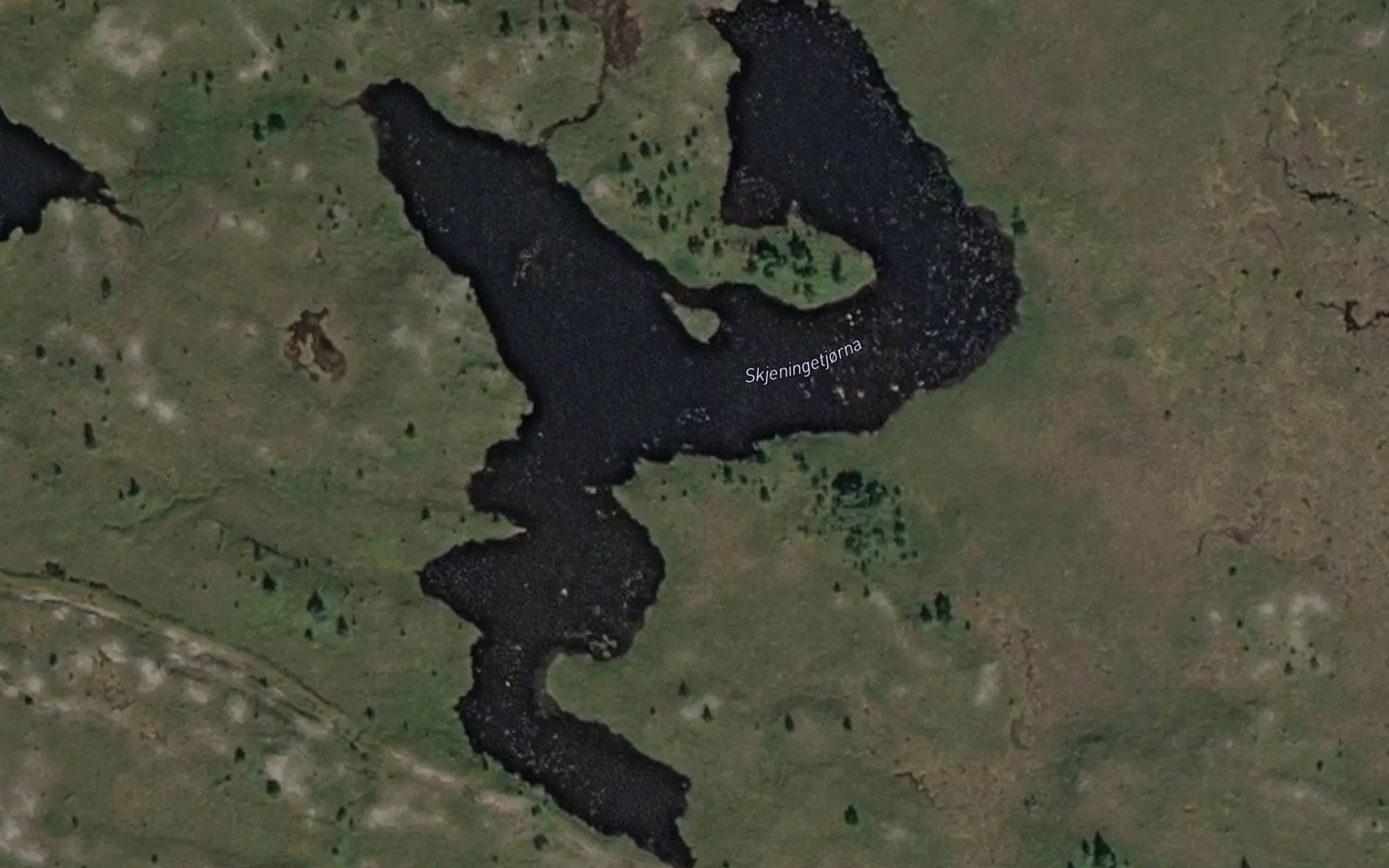 Skjeningetjorna
