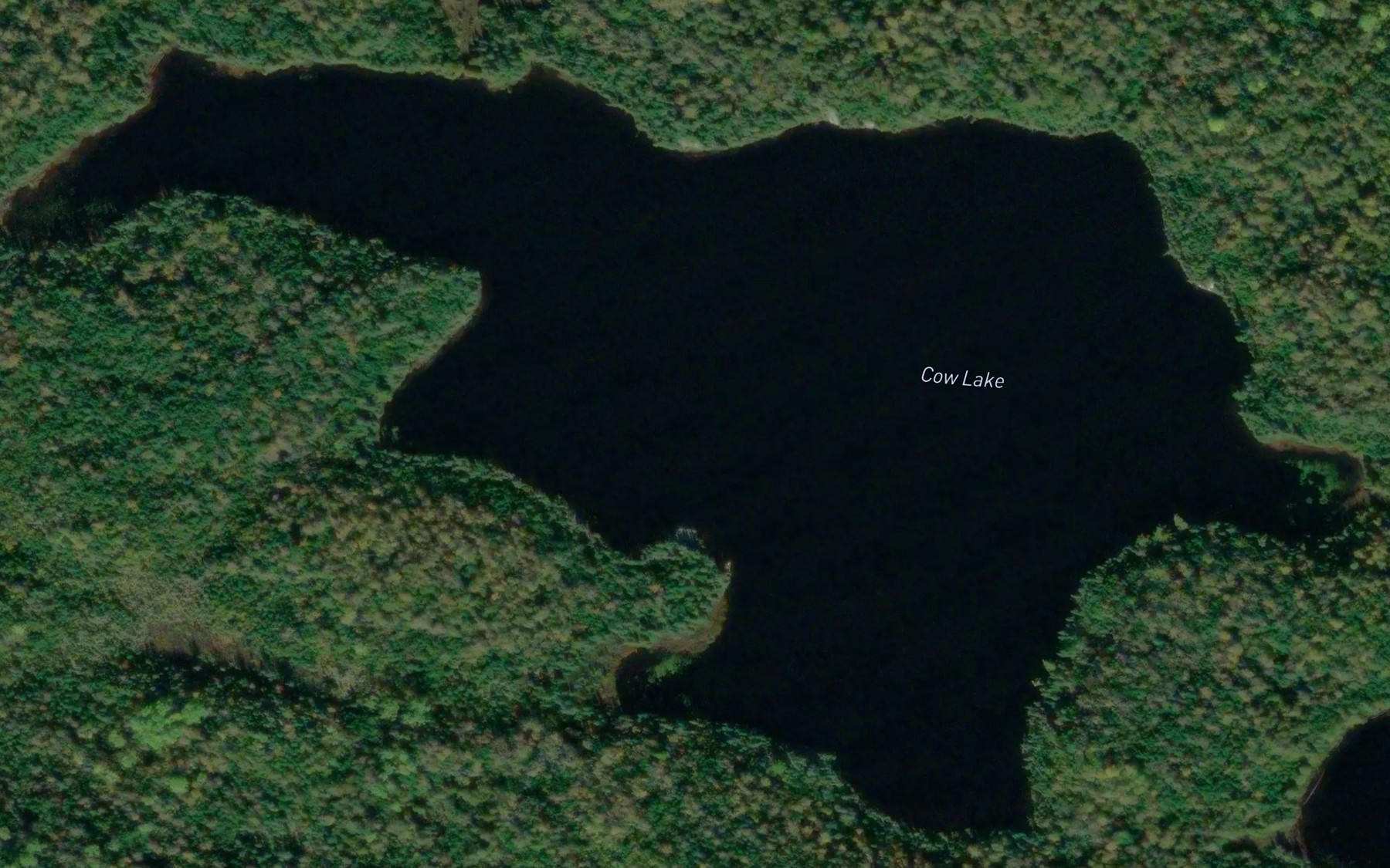 Satellite map of the Cow Lake
