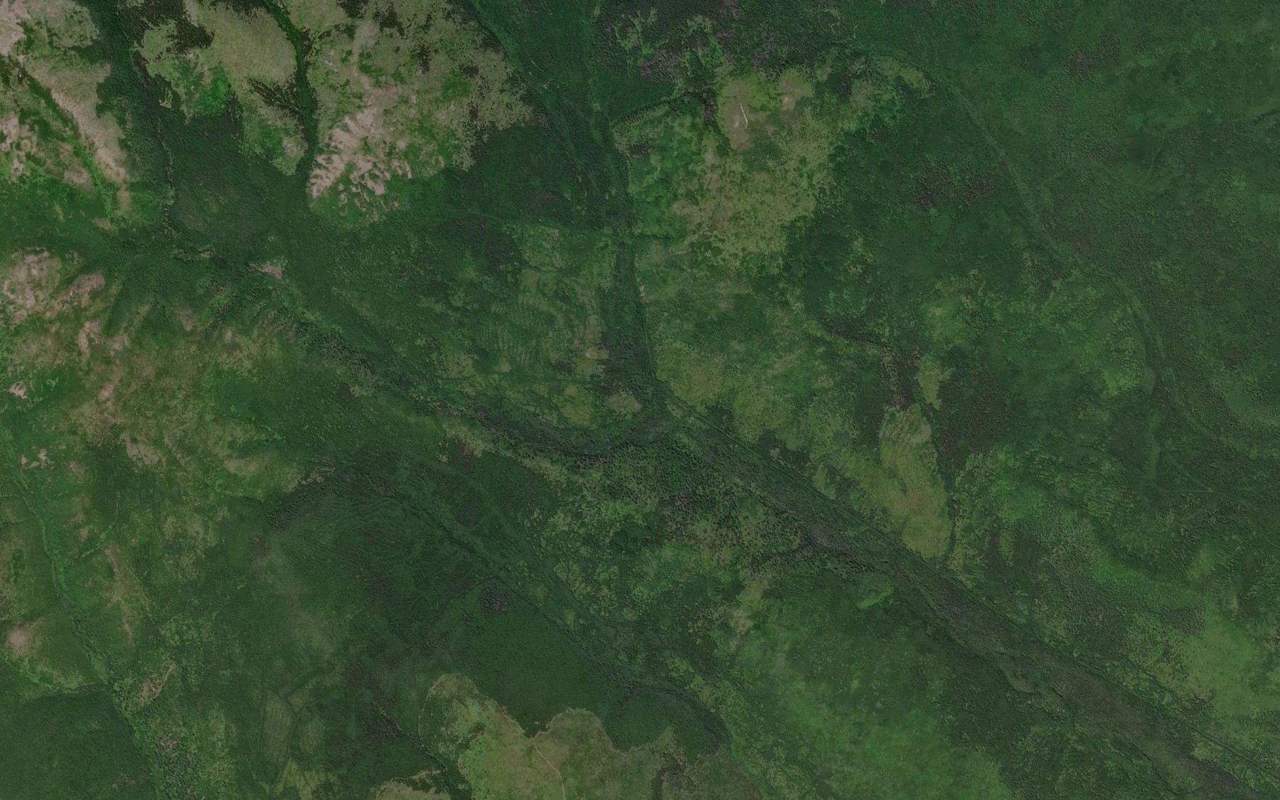 Satellite map of the Levyy Yankan