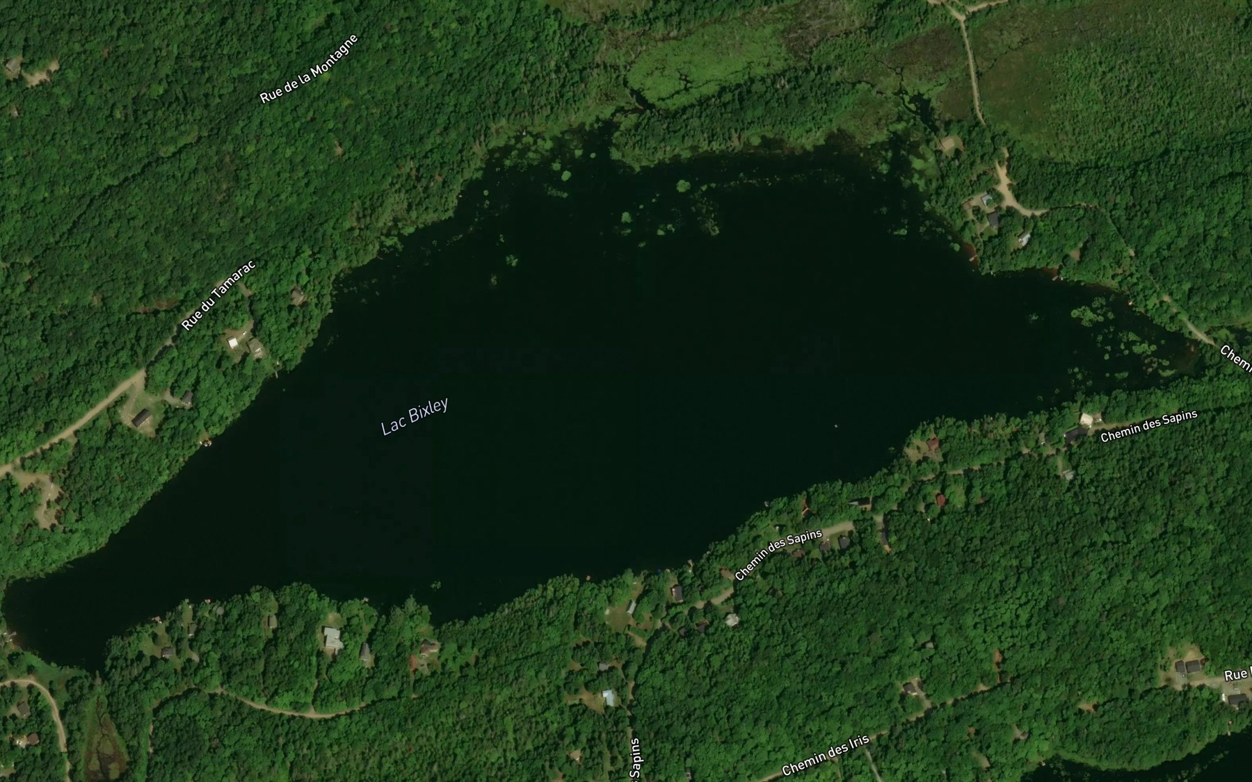 Satellite map of the Lac Bixley