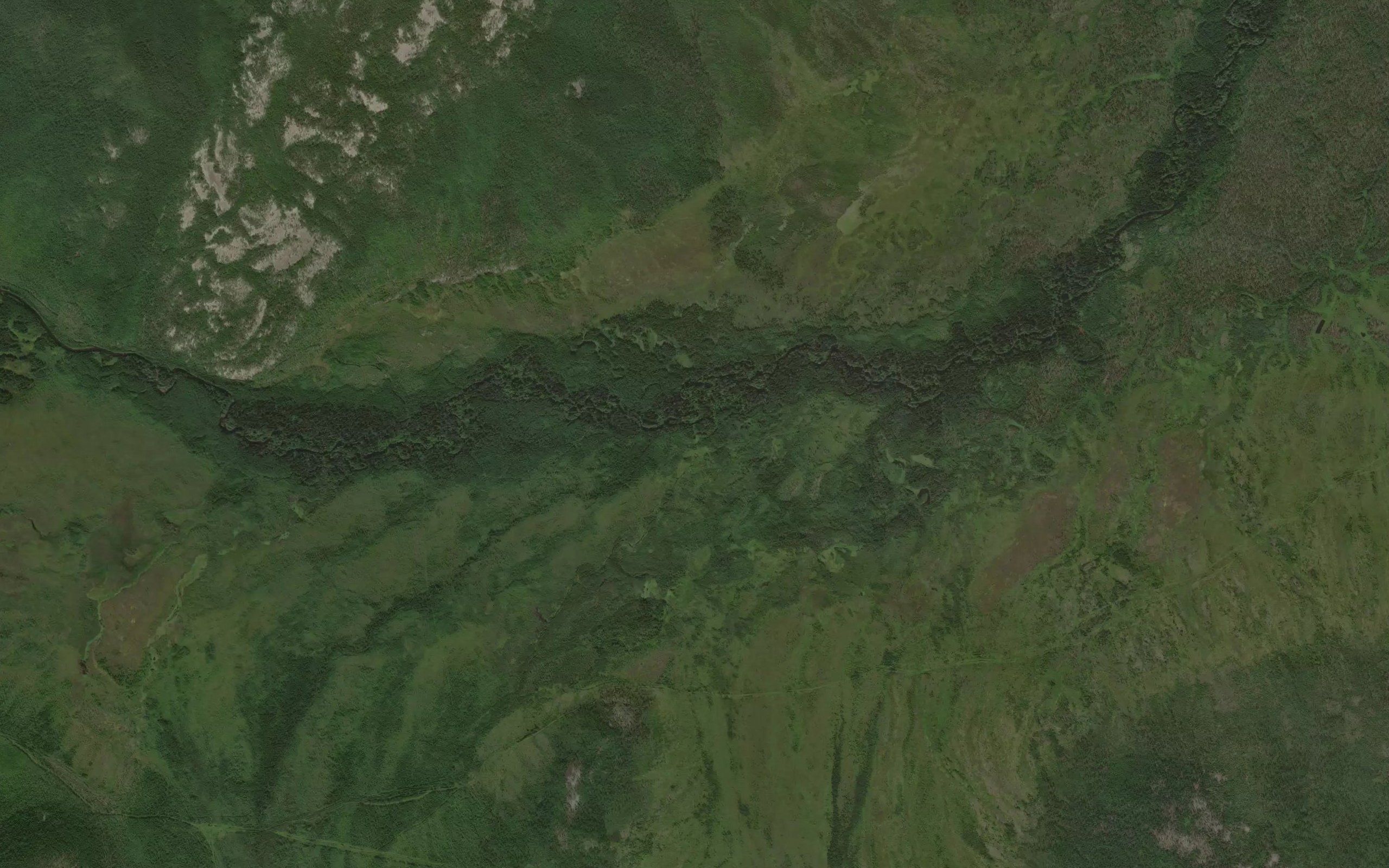 Mokhovoy