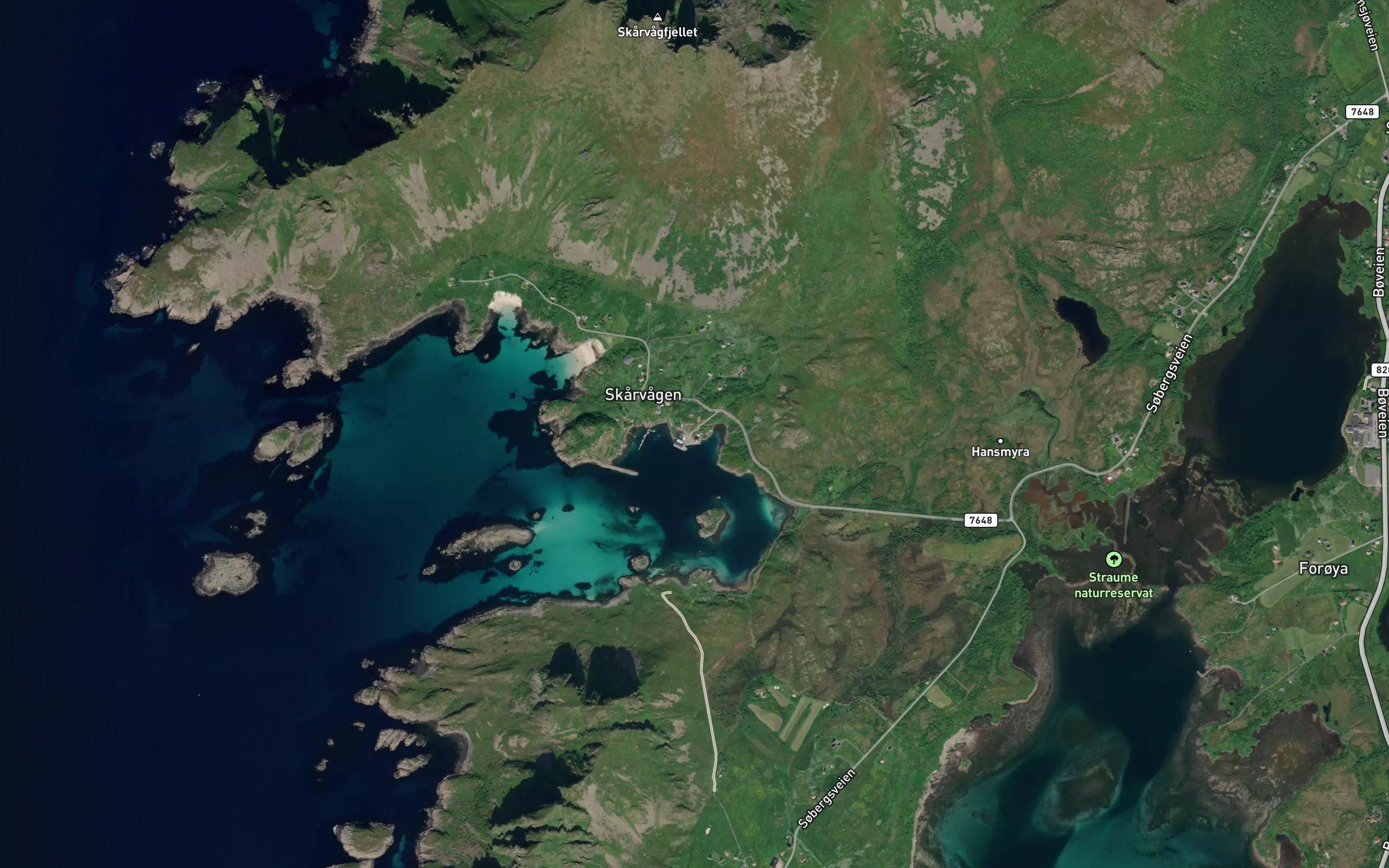 Johannesvika