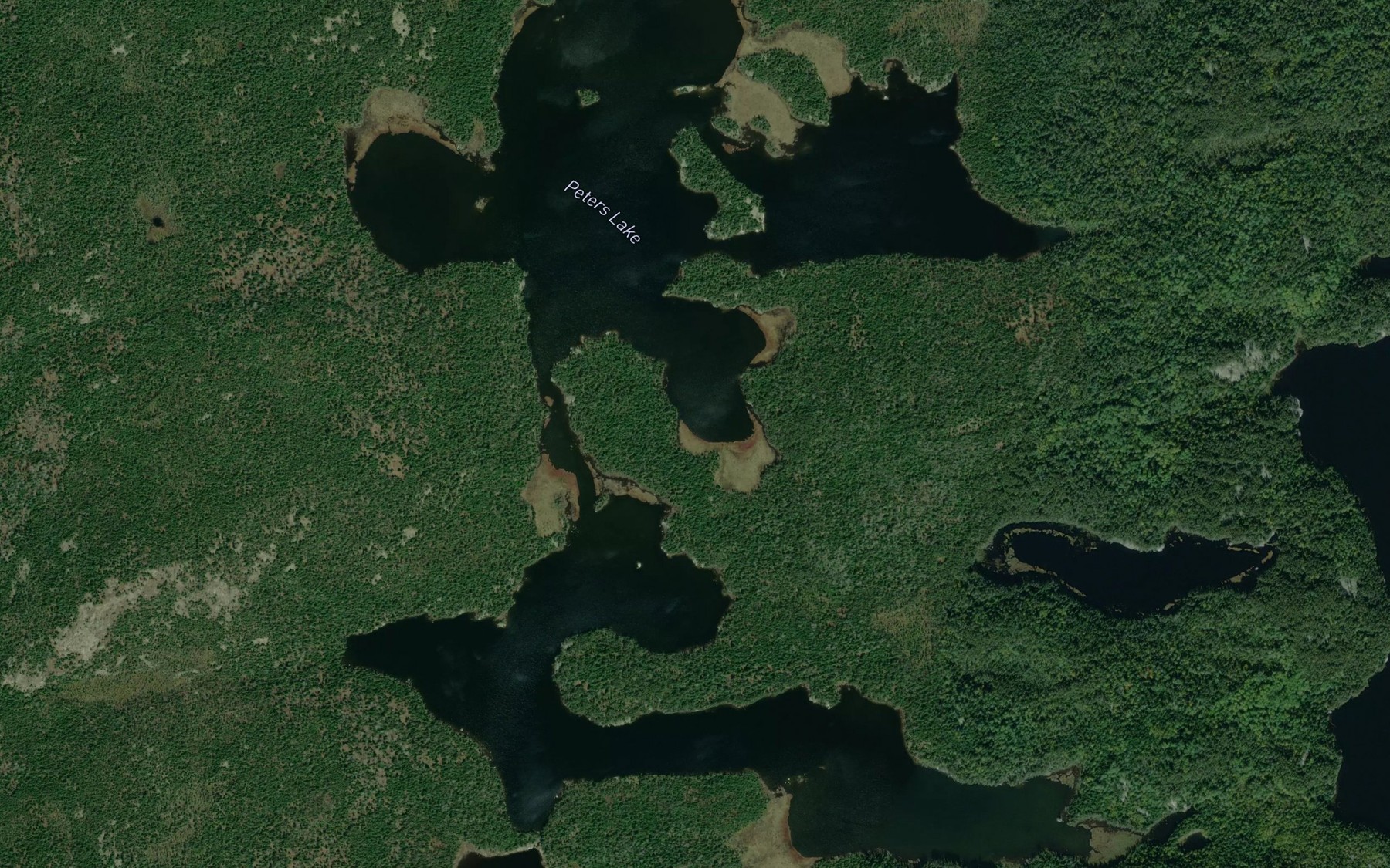 Satellite map of the Peters Lake