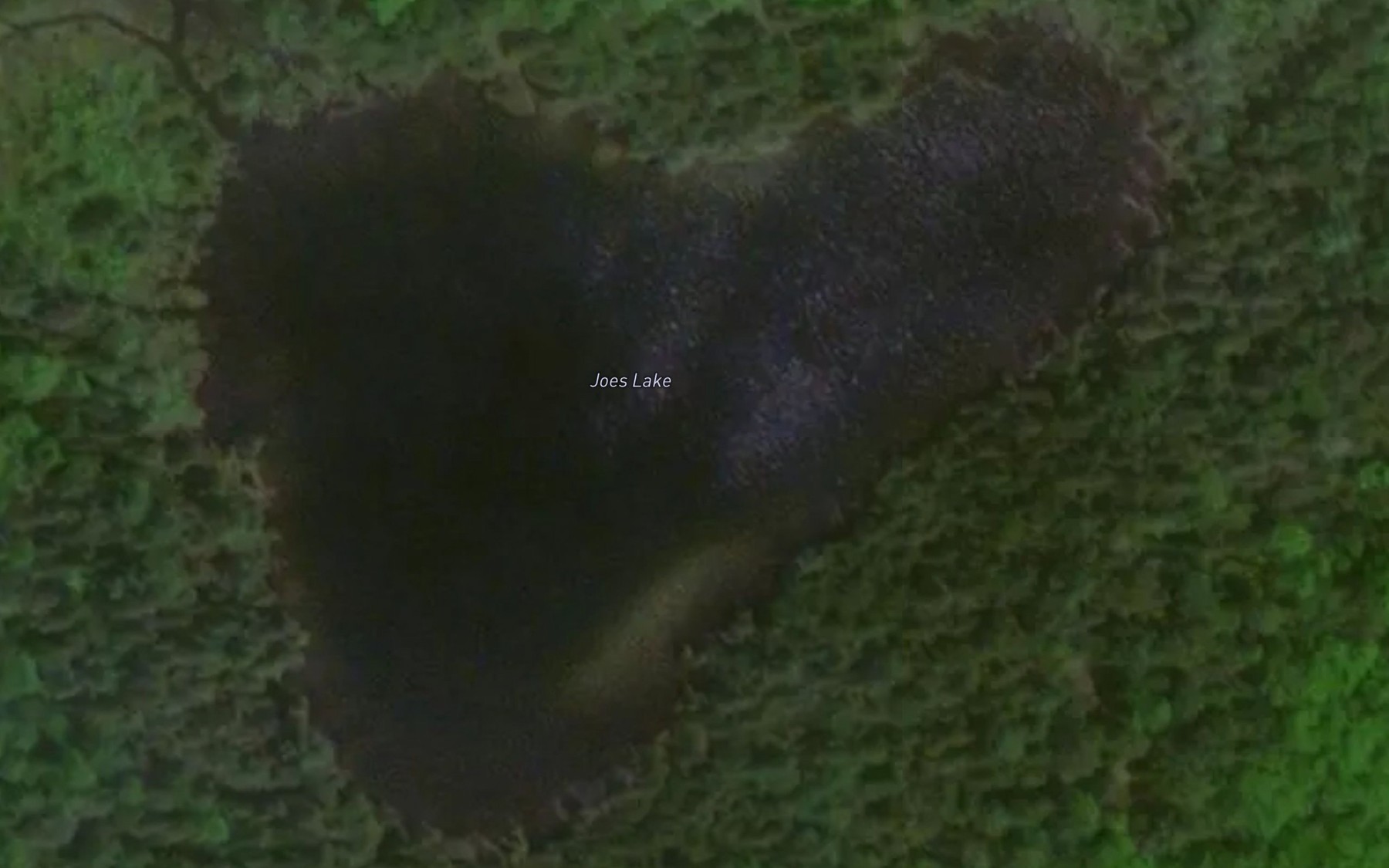 Satellite map of the Joes Lake