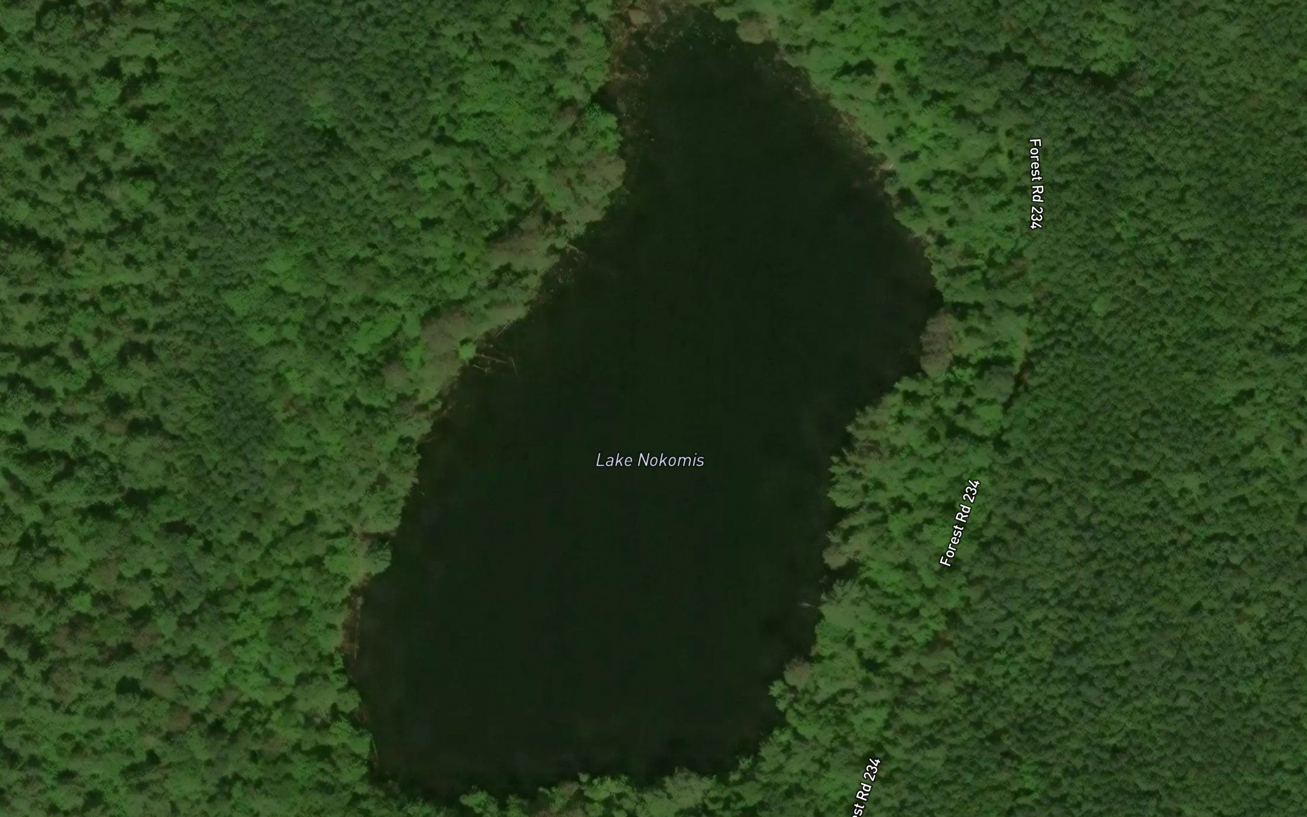 Lake Nokomis