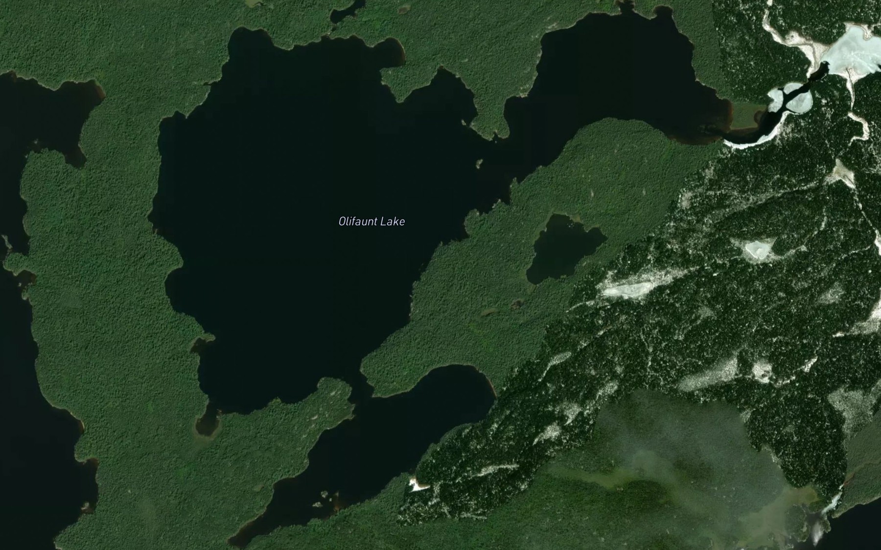Satellite map of the Olifaunt Lake