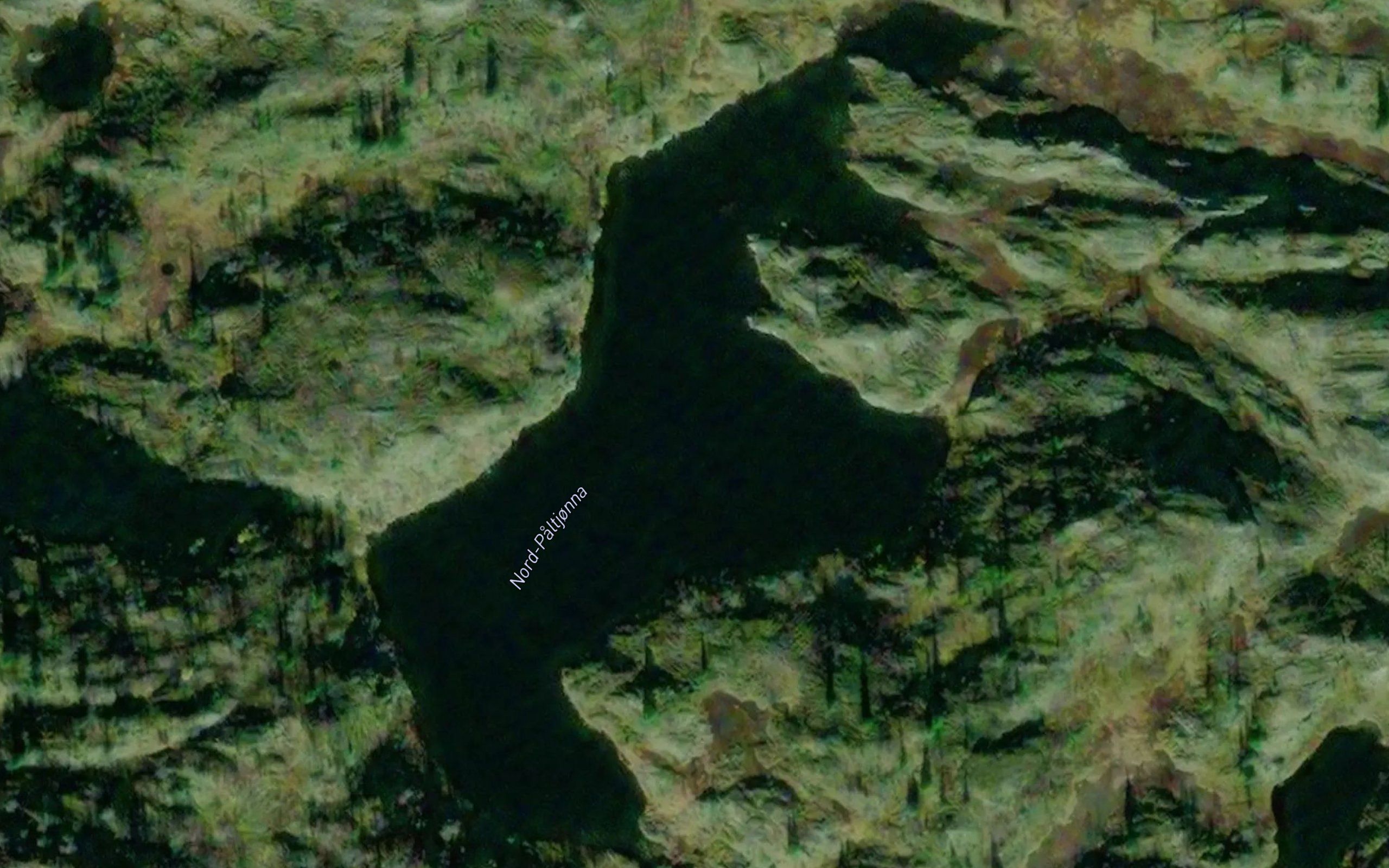 Nord-Paltjonna