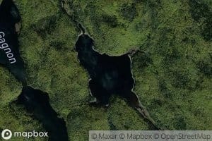 Lac Octave