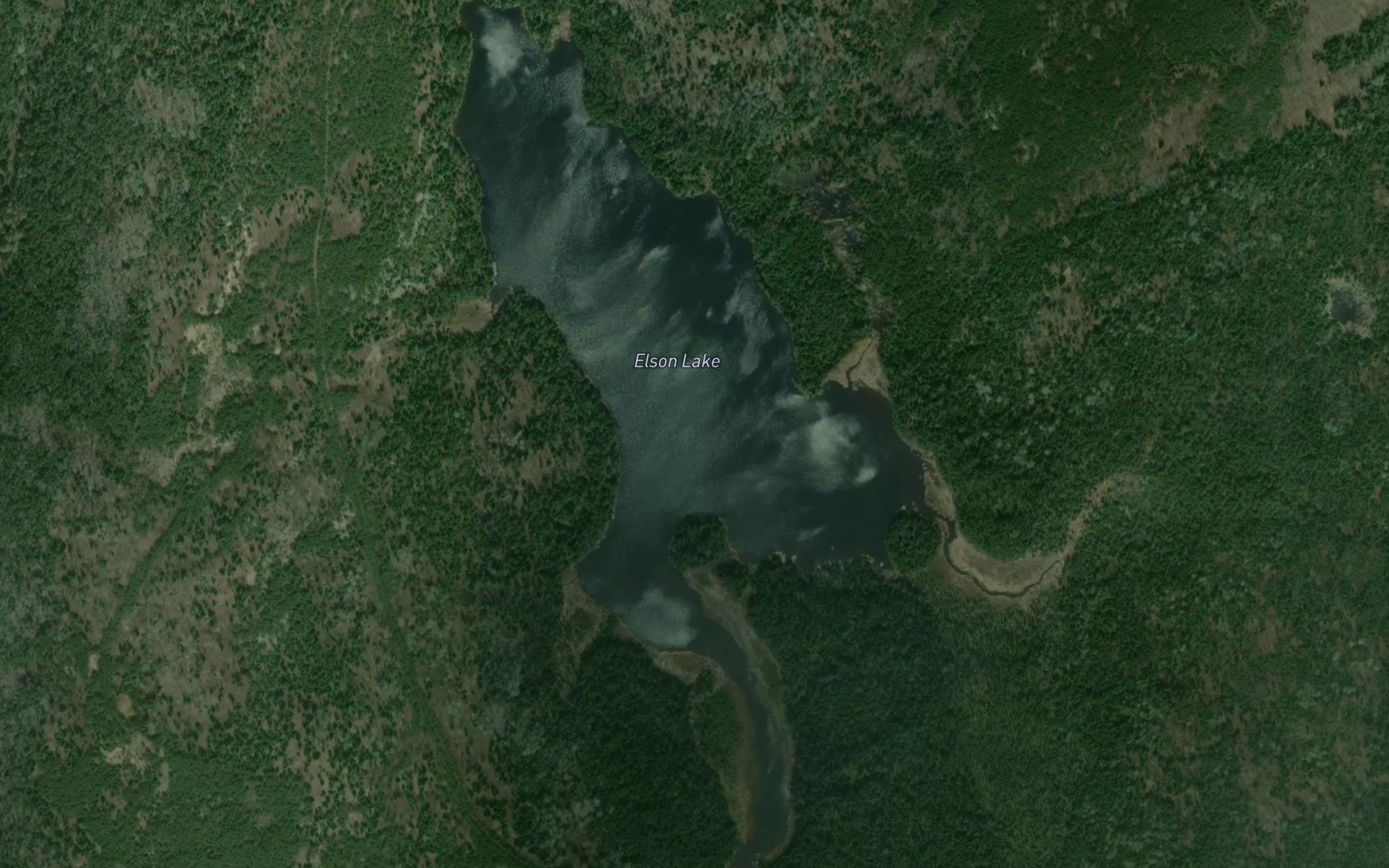 Satellite map of the Elson Lake