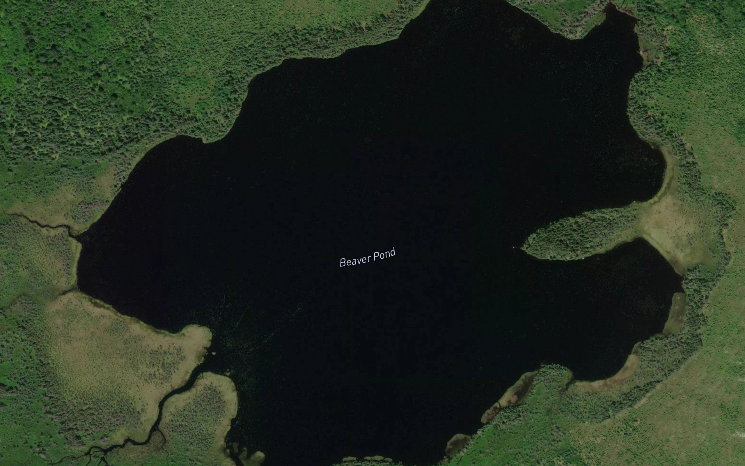 Beaver Pond