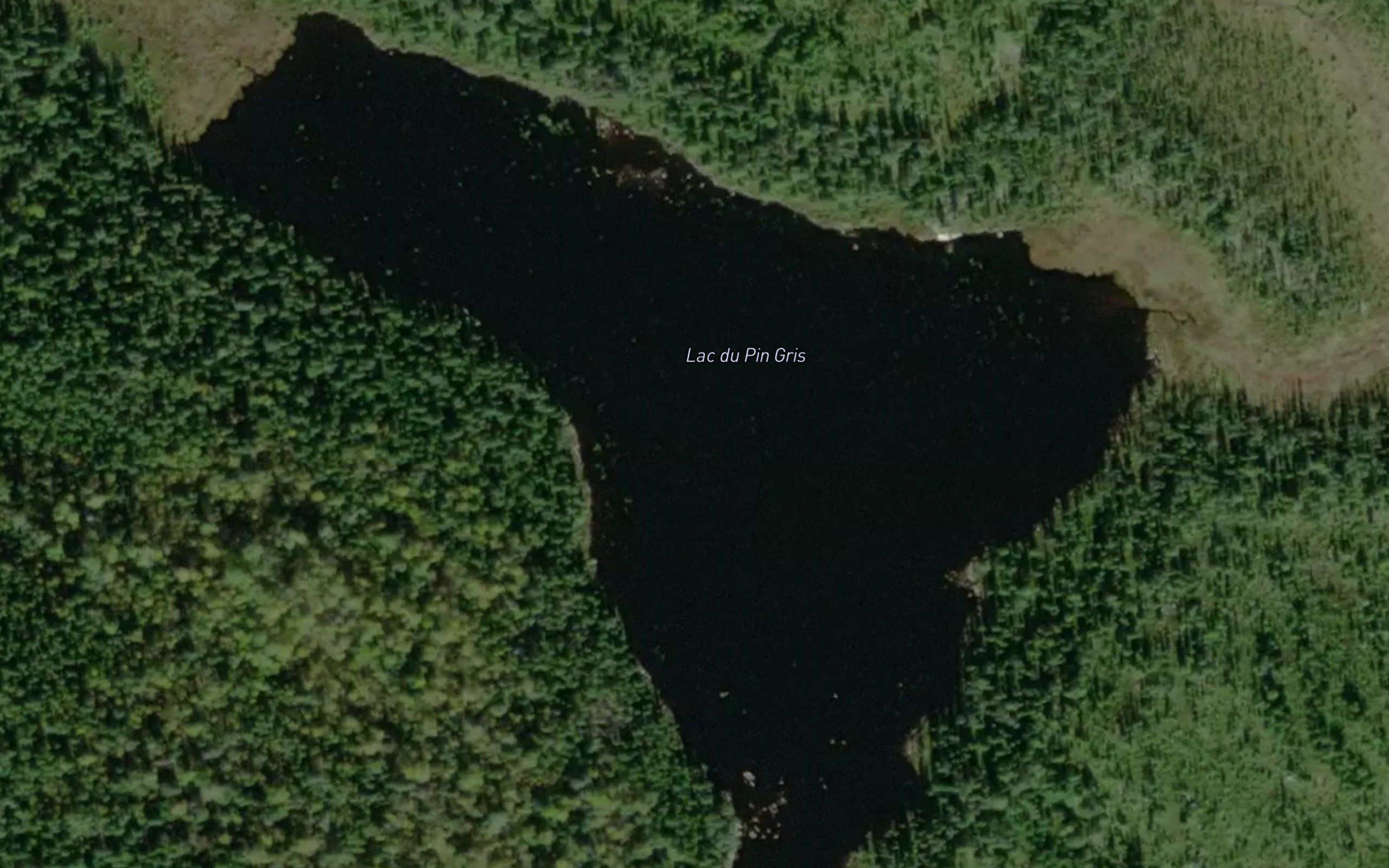 Lac du Pin Gris