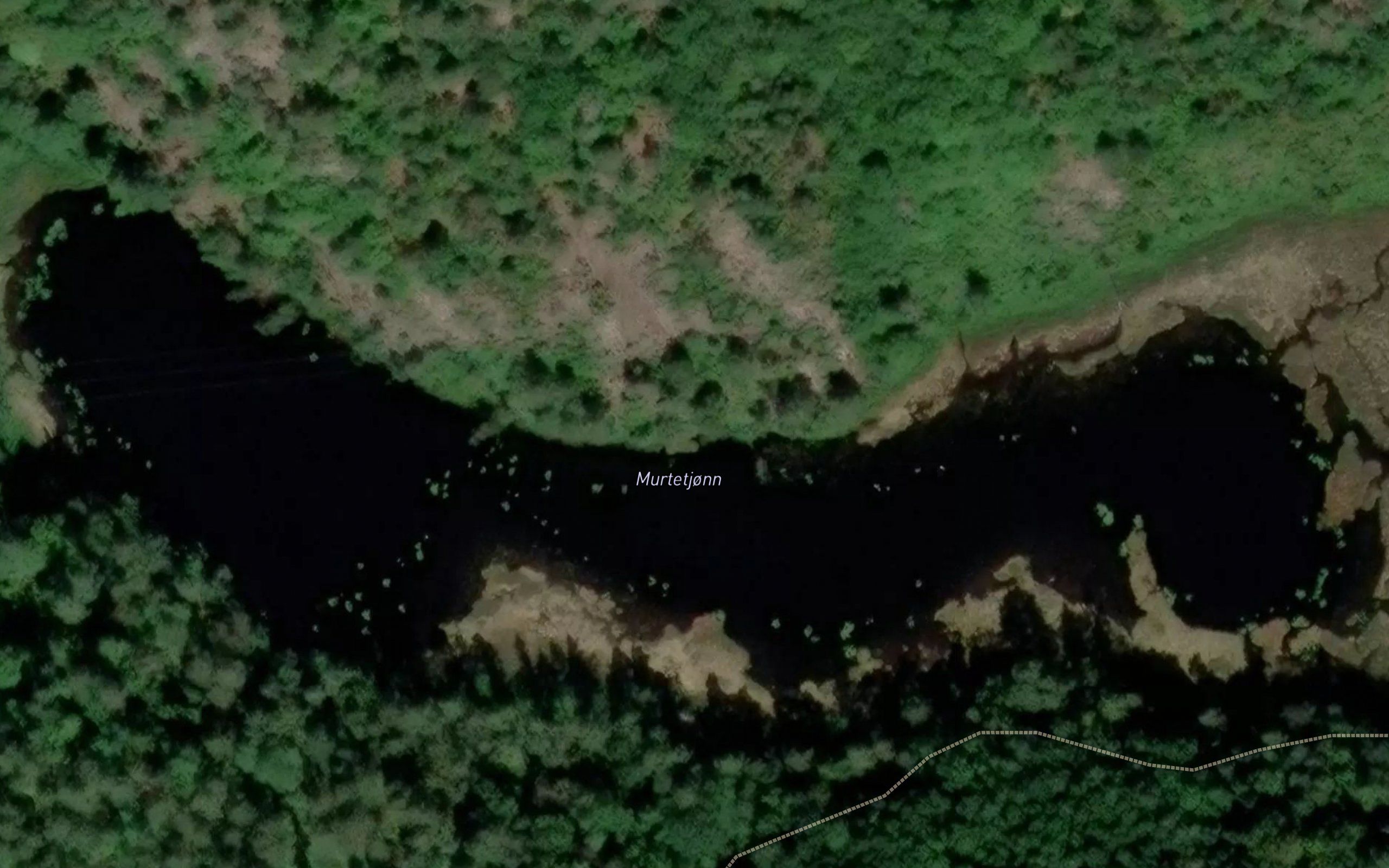 Murtetjornane