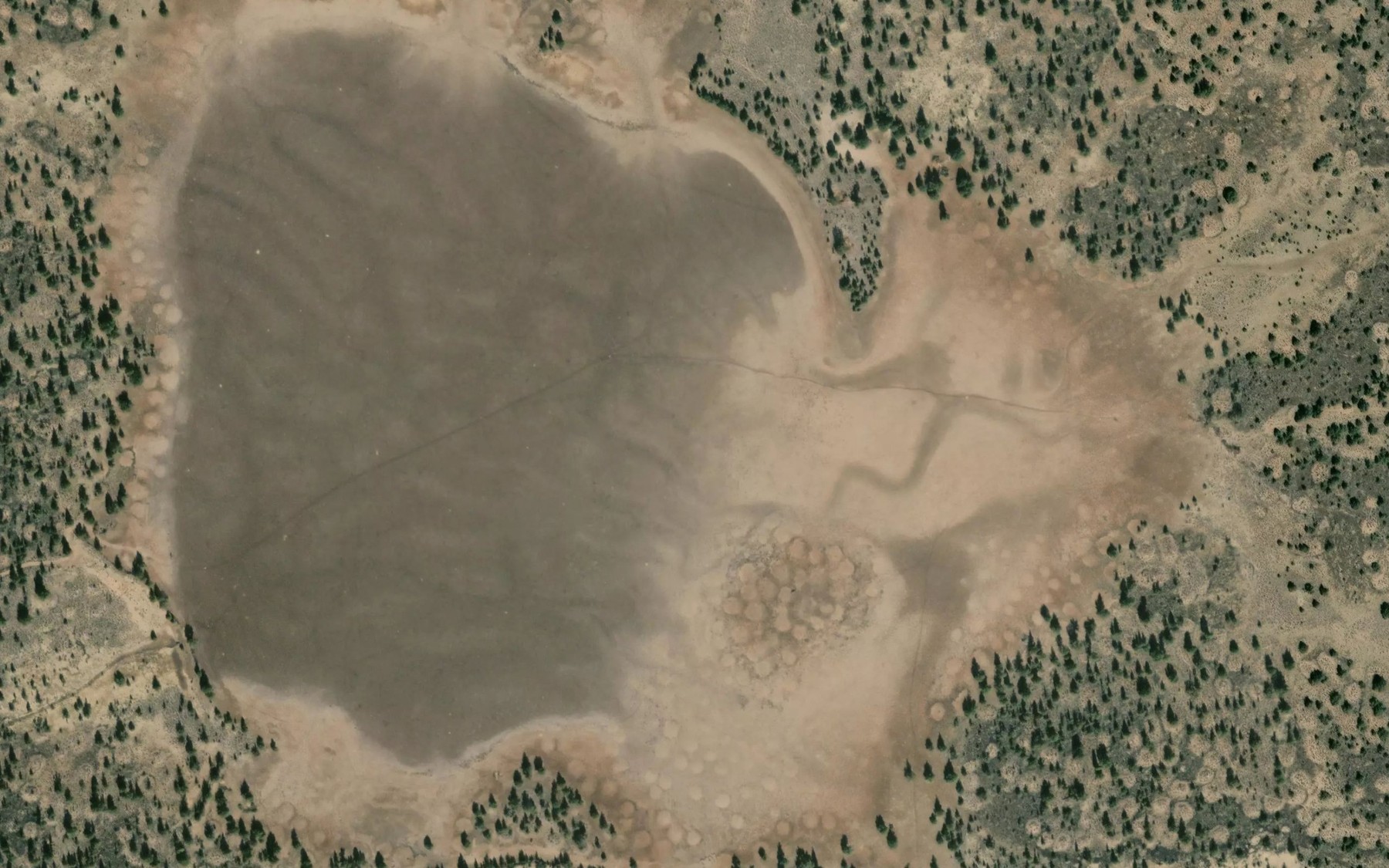 Satellite map of the Pretty Tree Reservoir