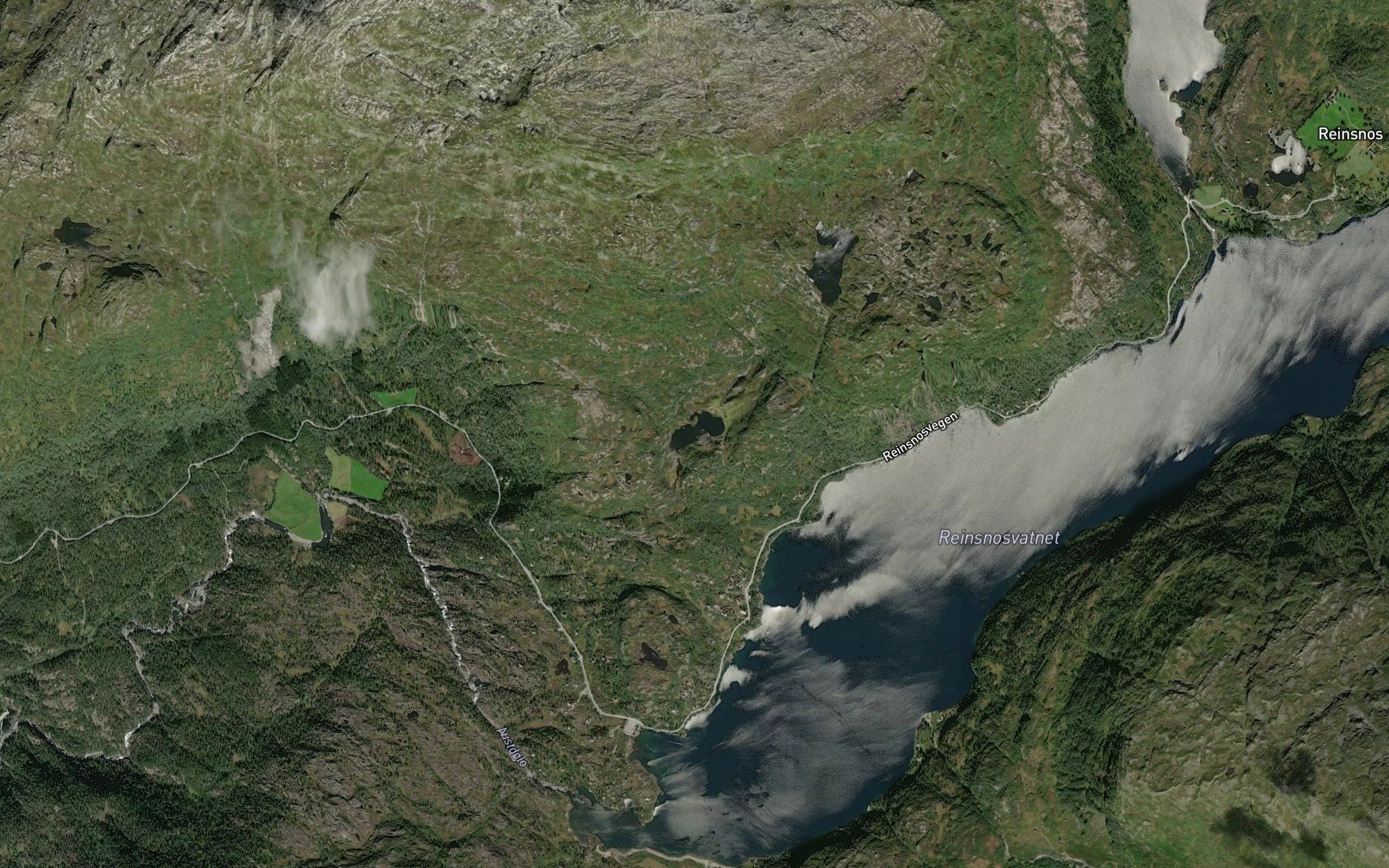 Fisketjorn