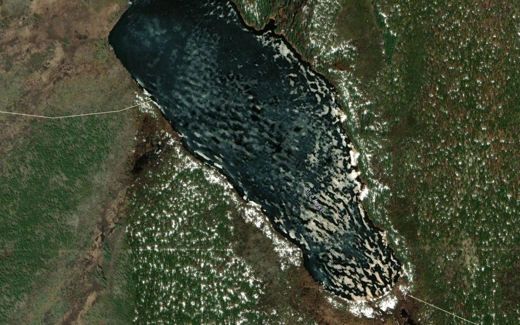 Satellite map of the Ace Lake