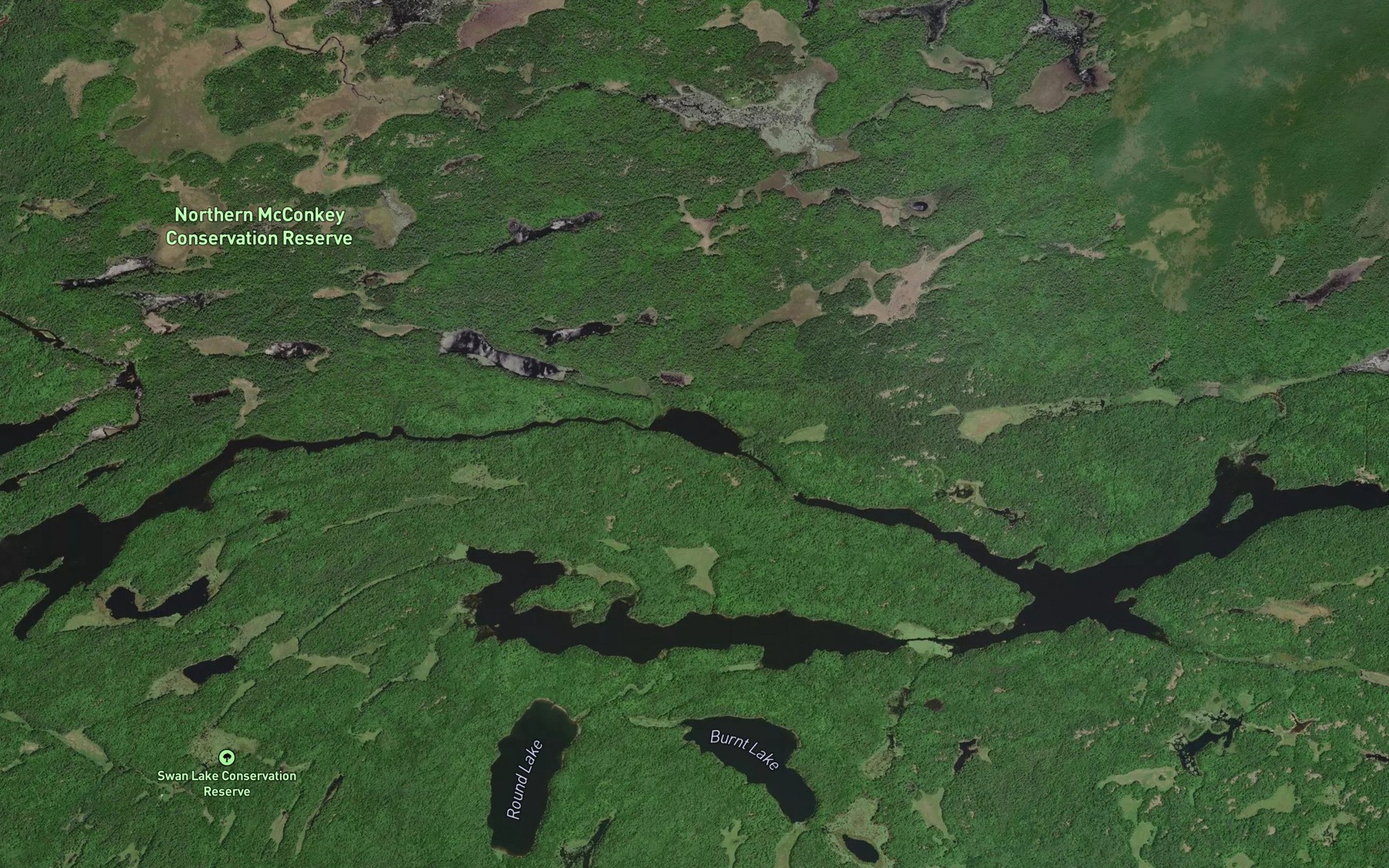 Satellite map of the Little Wolf Lake