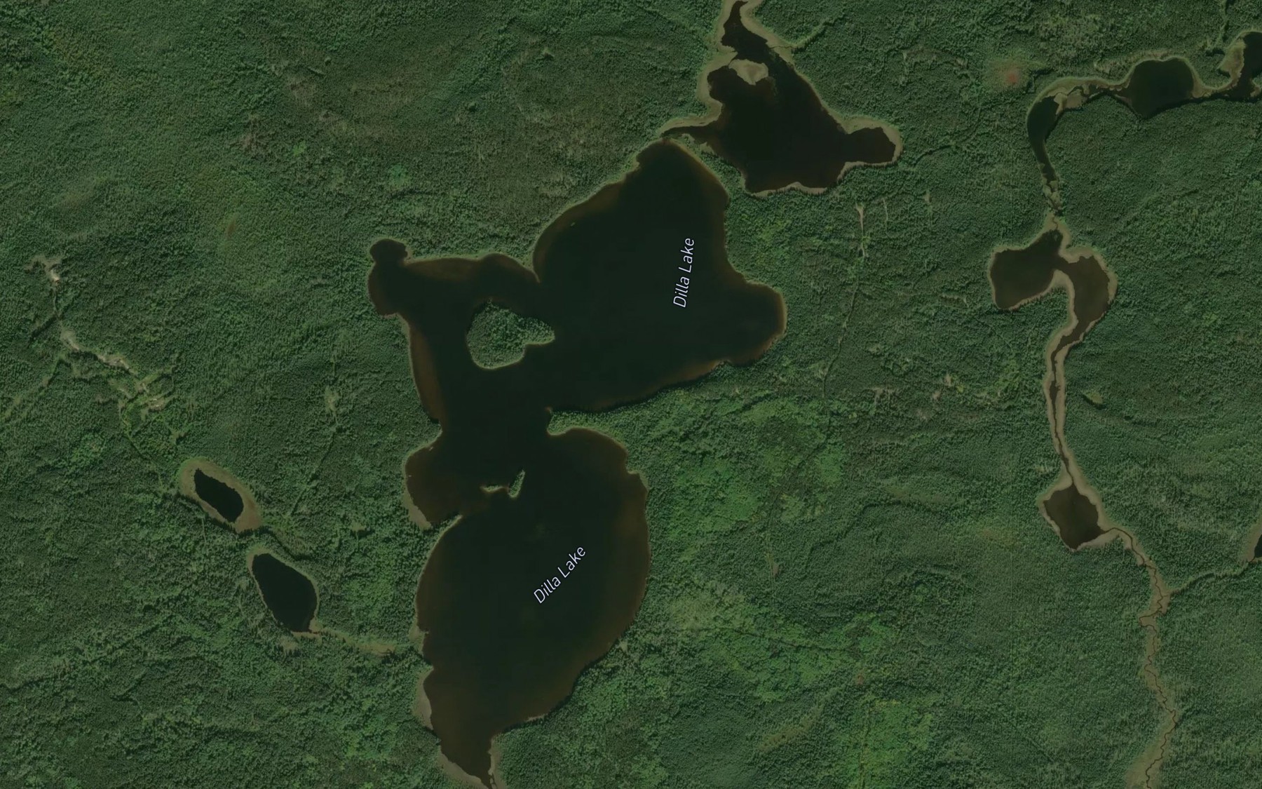Satellite map of the Dilla Lake