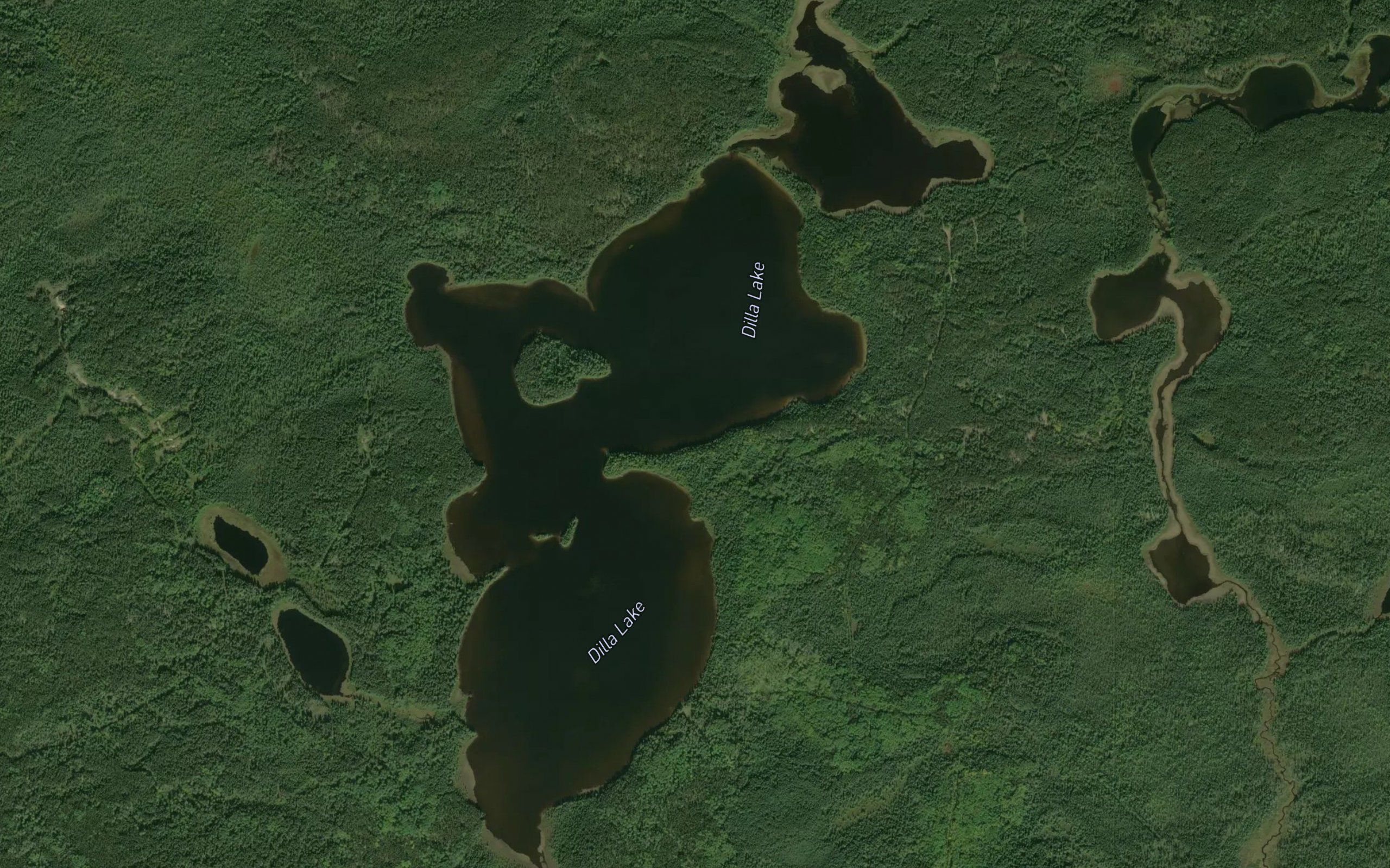 Dilla Lake