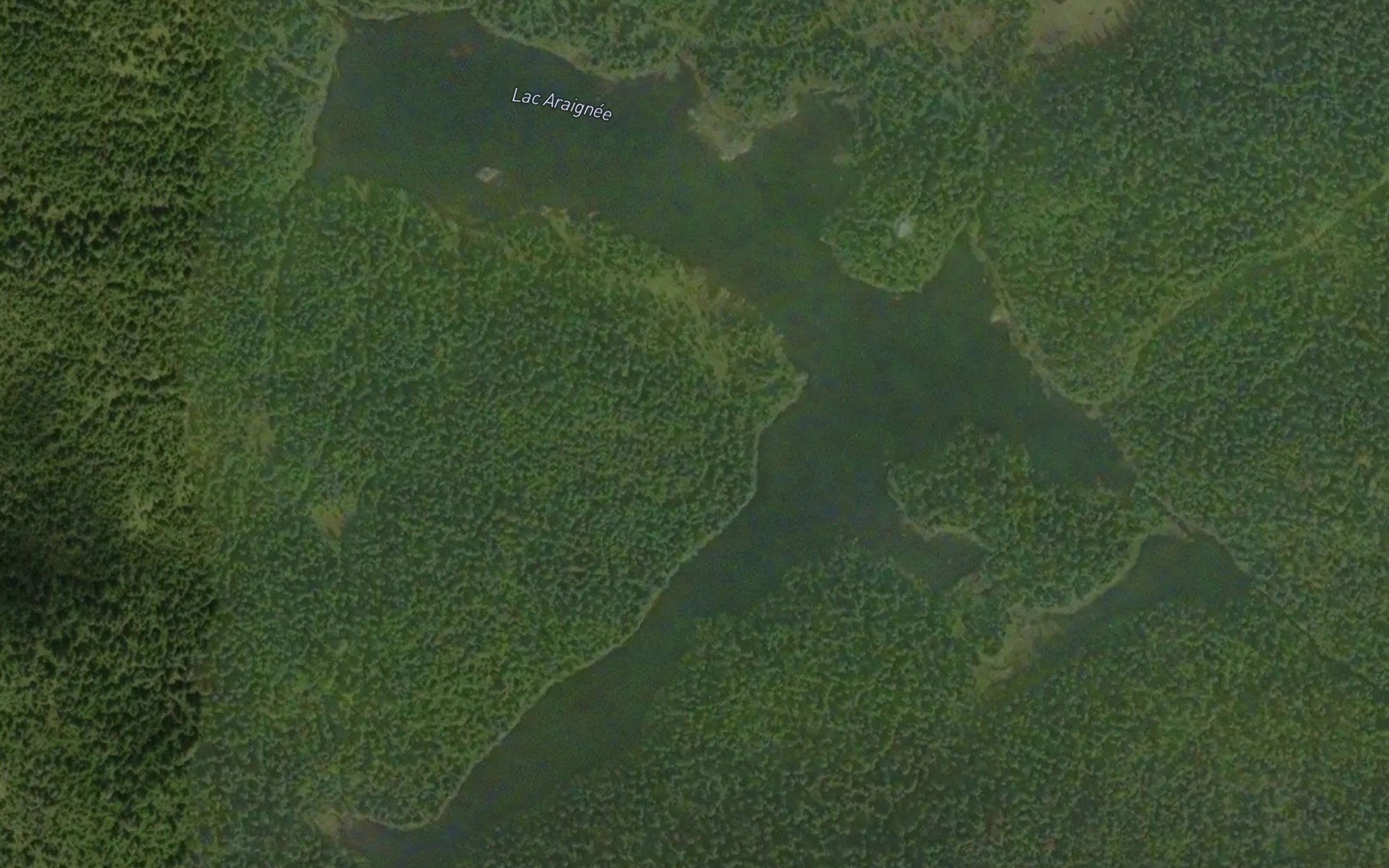 Satellite map of the Lac Araignee