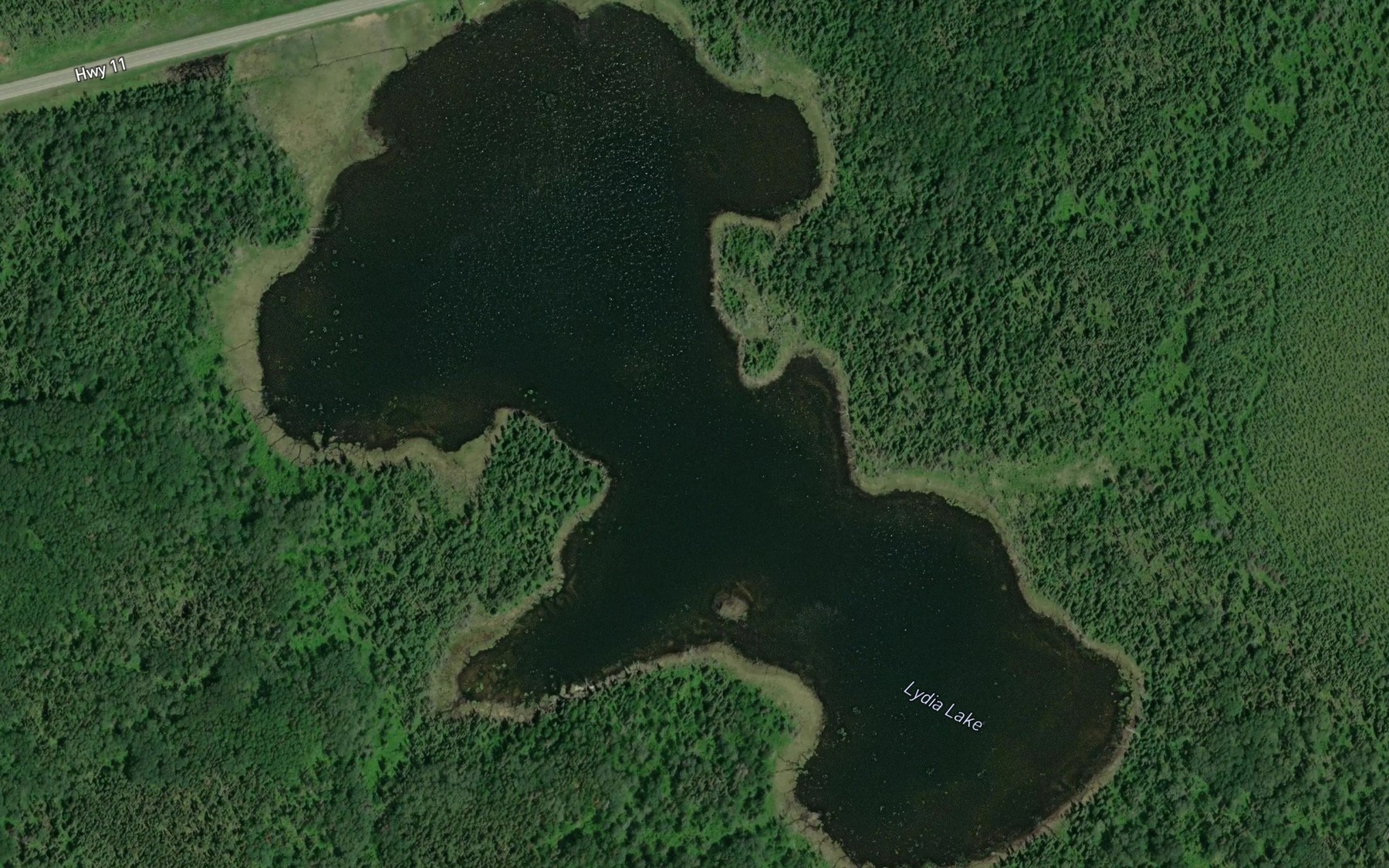 Satellite map of the Lydia Lake