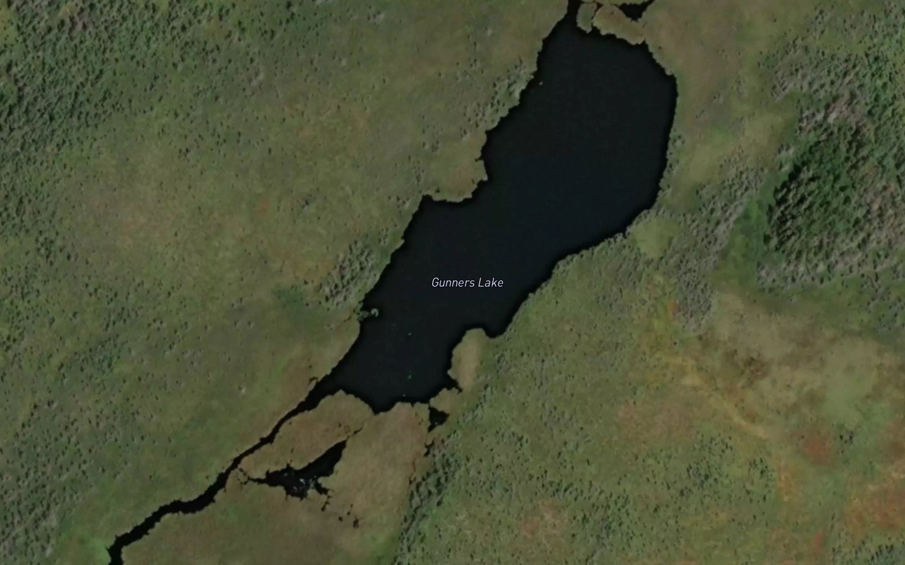 Satellite map of the Gunners Lake