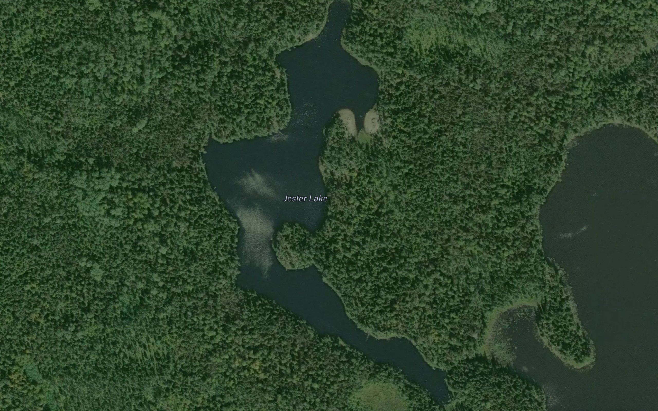 Jester Lake