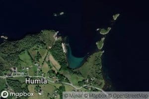 Humlevika