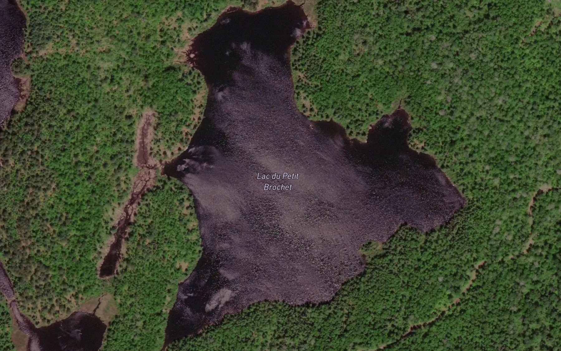 Satellite map of the Lac du Petit Brochet