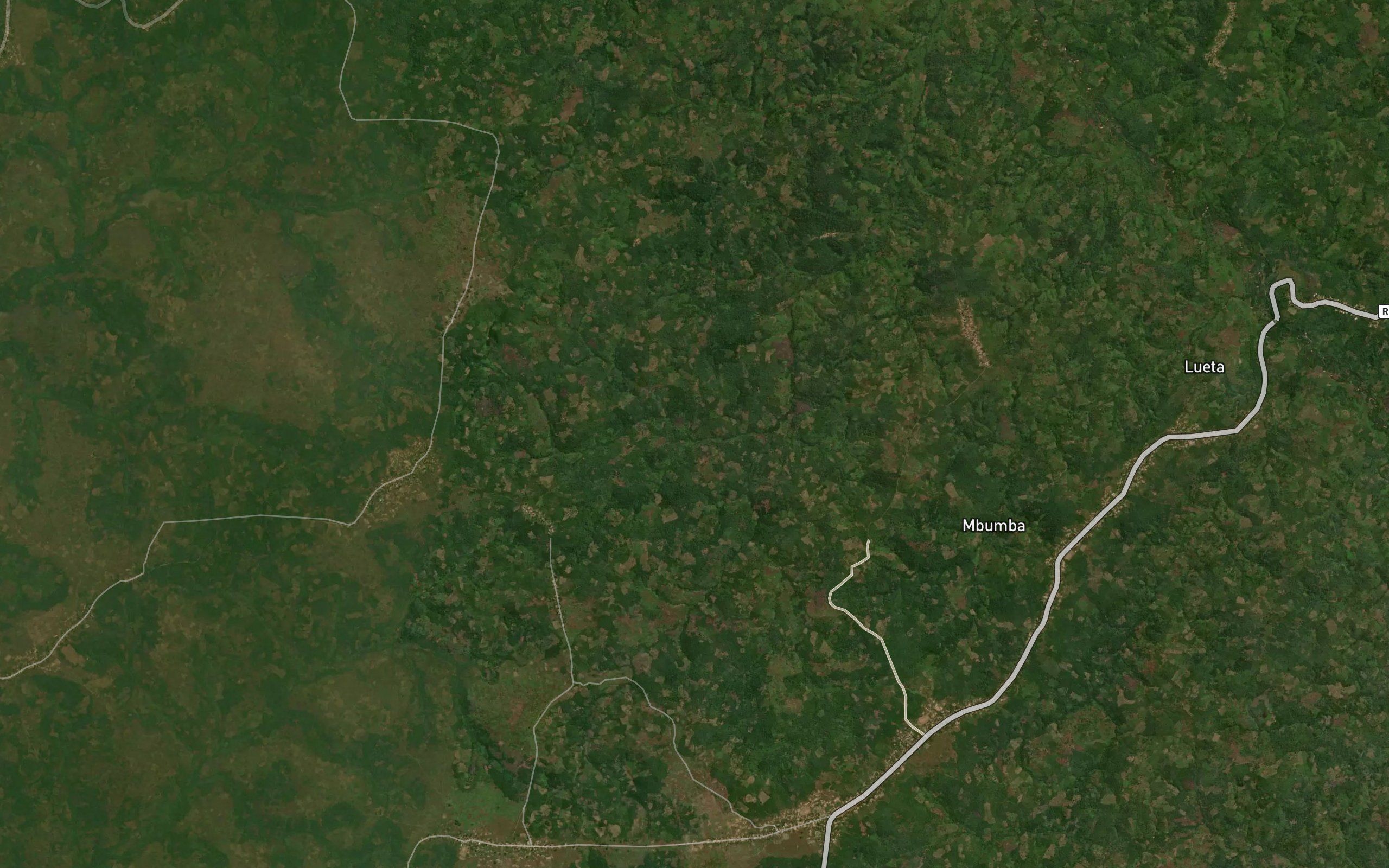 Diyi-dia-Tambwe
