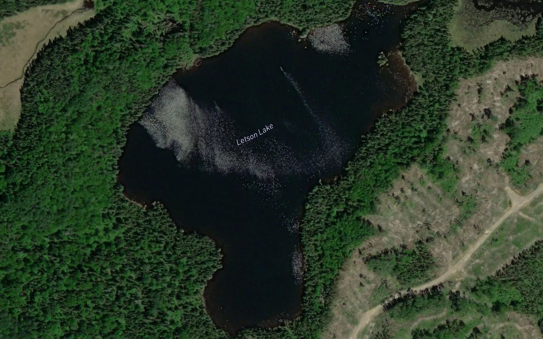 Satellite map of the Letson Lake