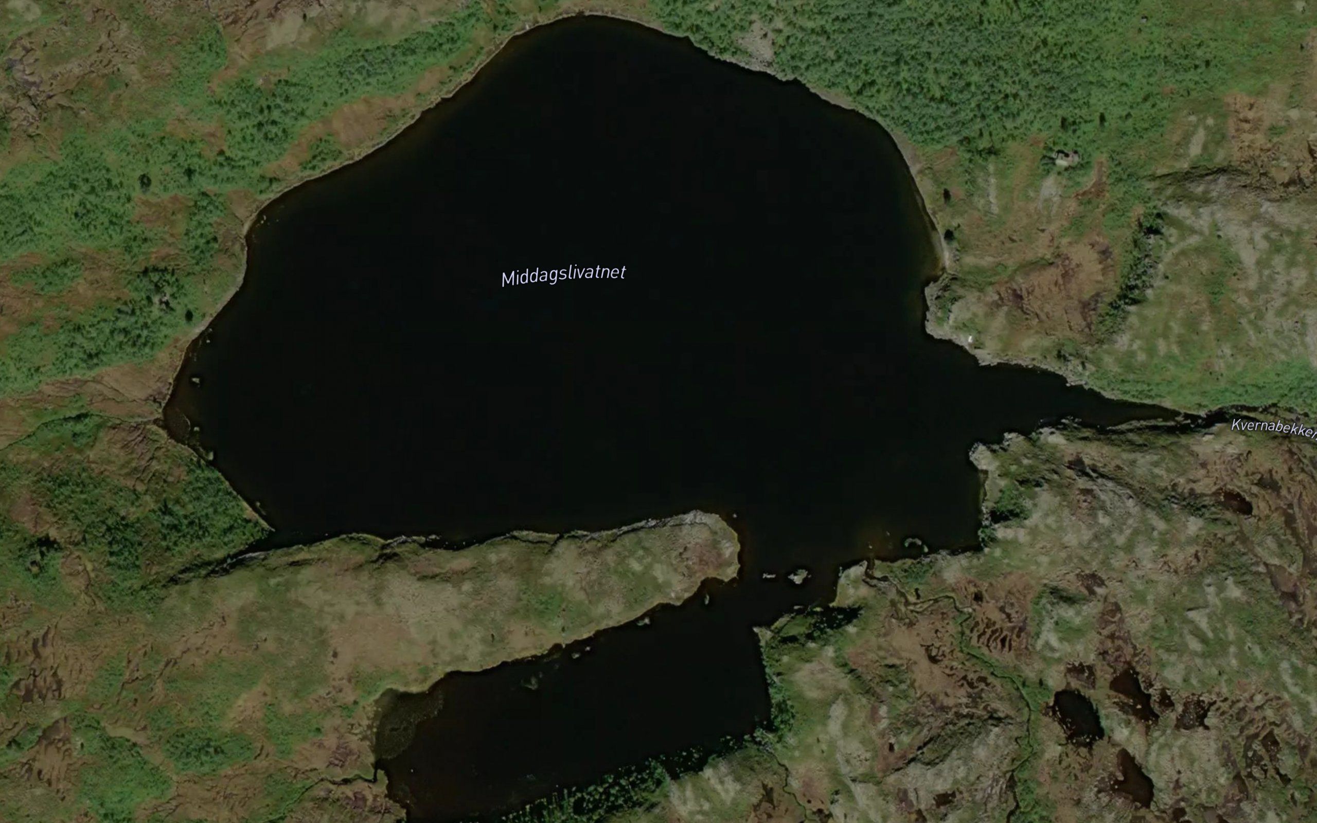 Middagslivatnet