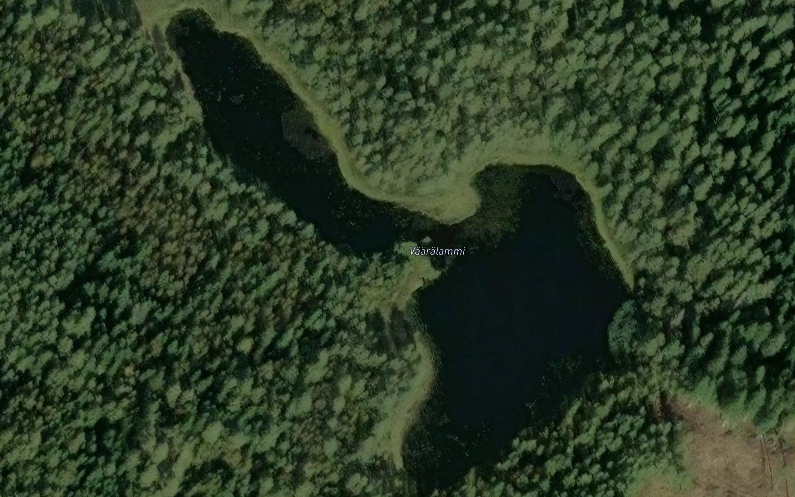 Vaaralammi