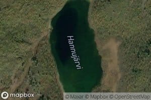 Hannujavri
