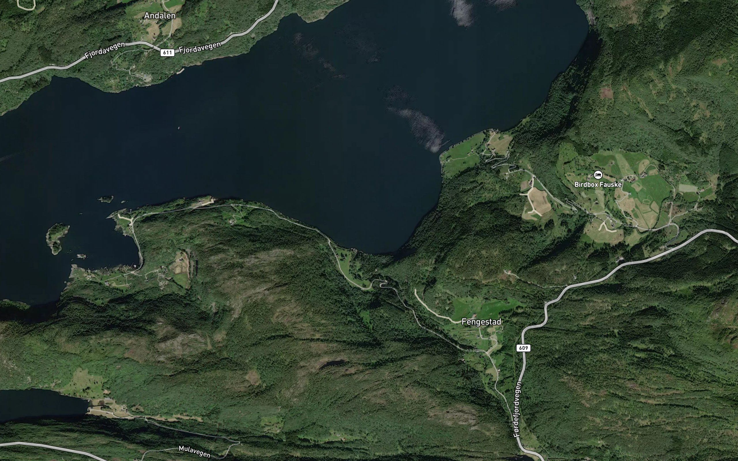Ervika