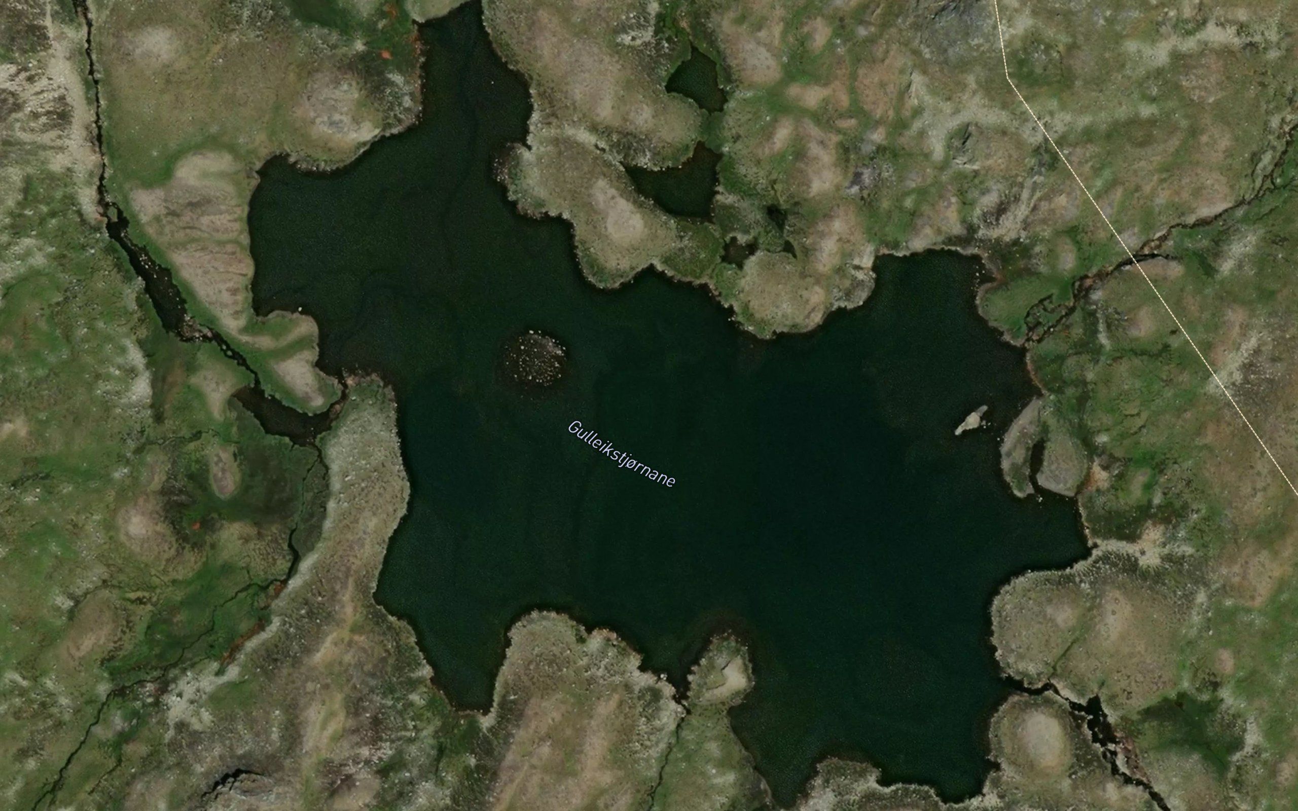 Gulleikstjornane