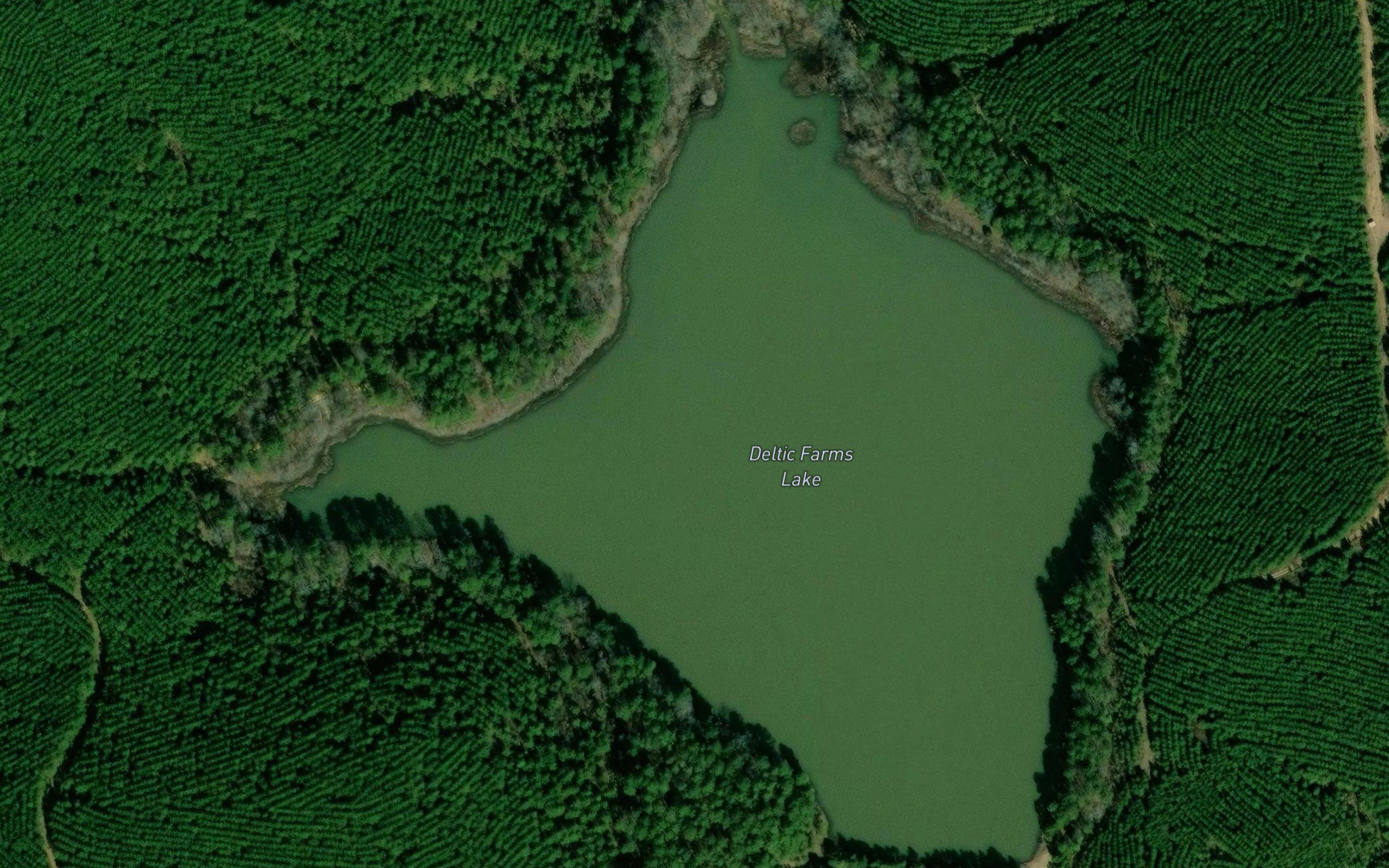 Deltic Farms Lake