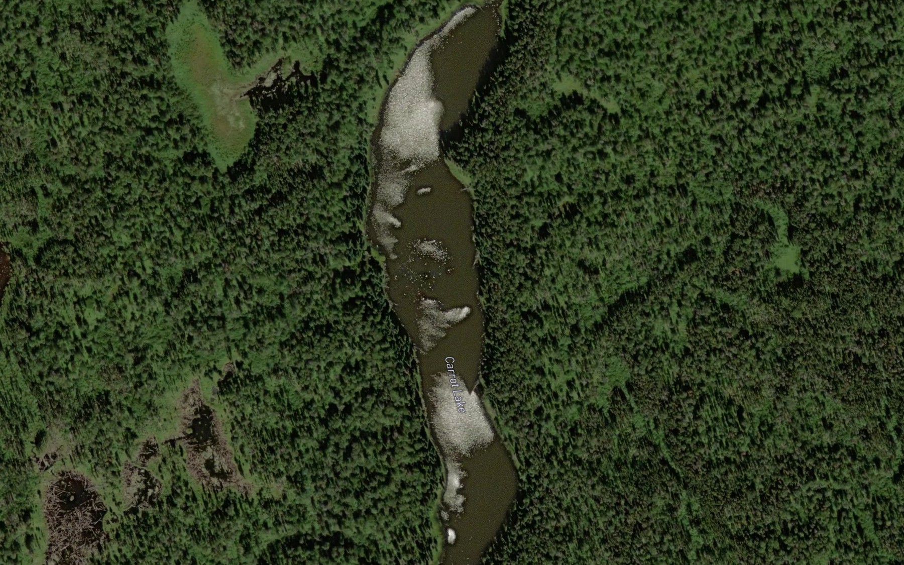 Satellite map of the Carrot Lake