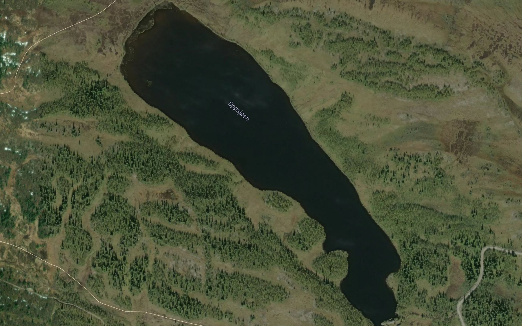 Satellite map of the Oppsjoen