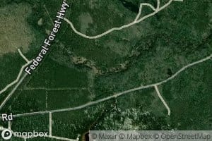 Mink Creek