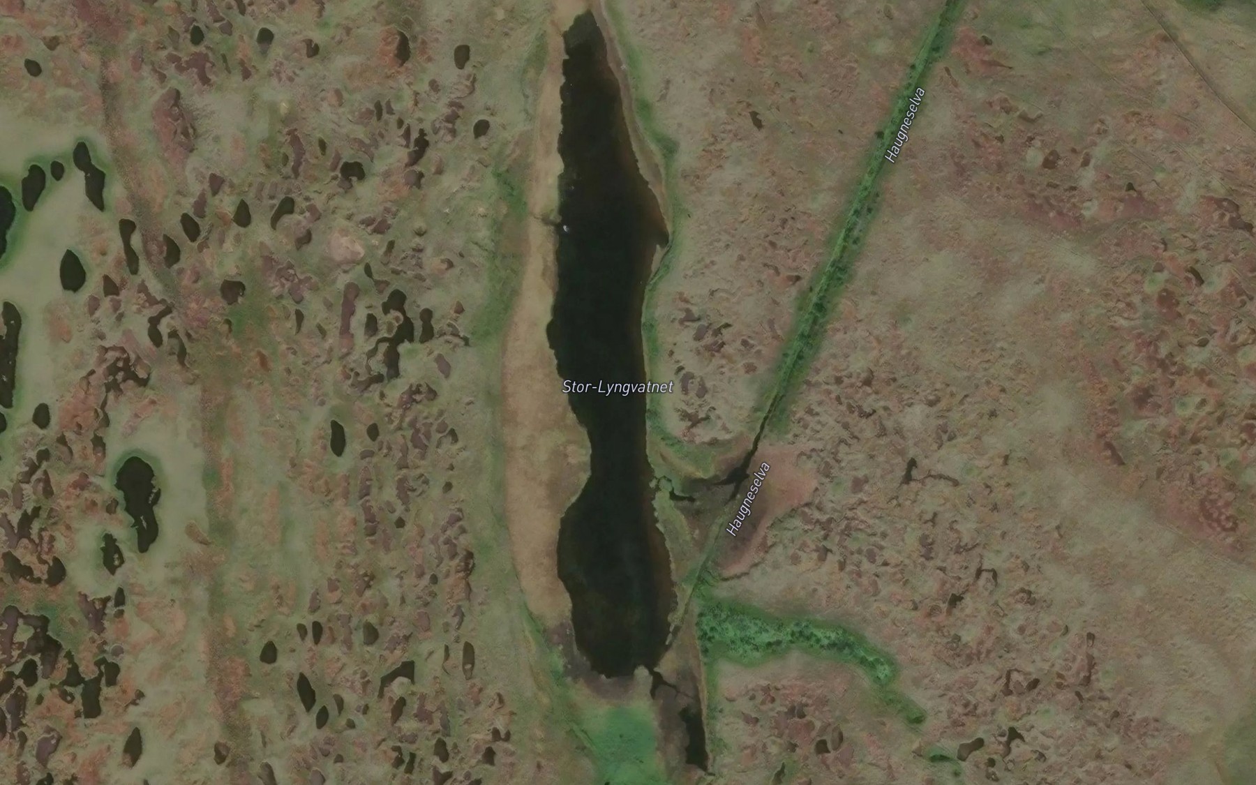 Satellite map of the Lyngvatnet