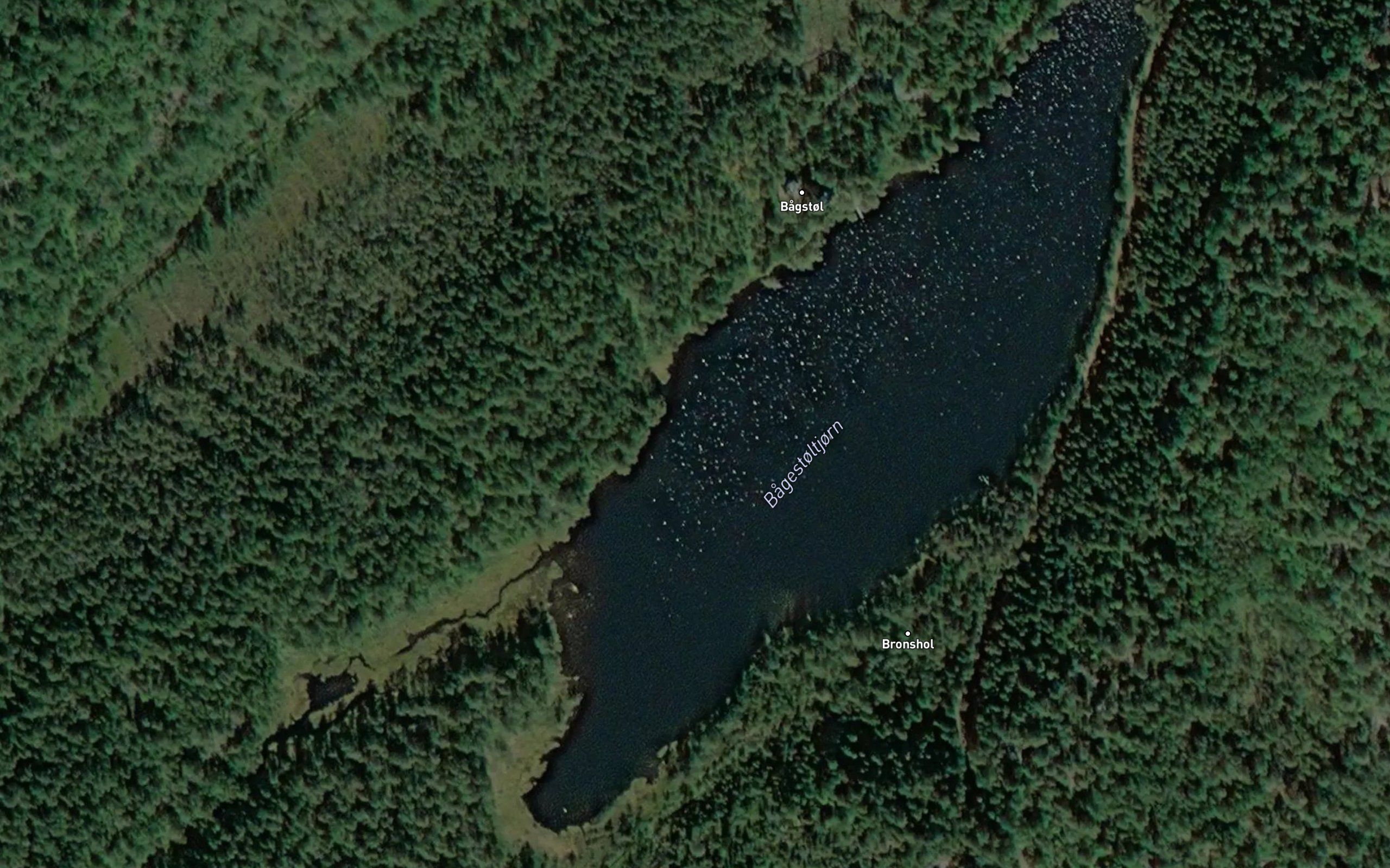 Bagestoltjorn
